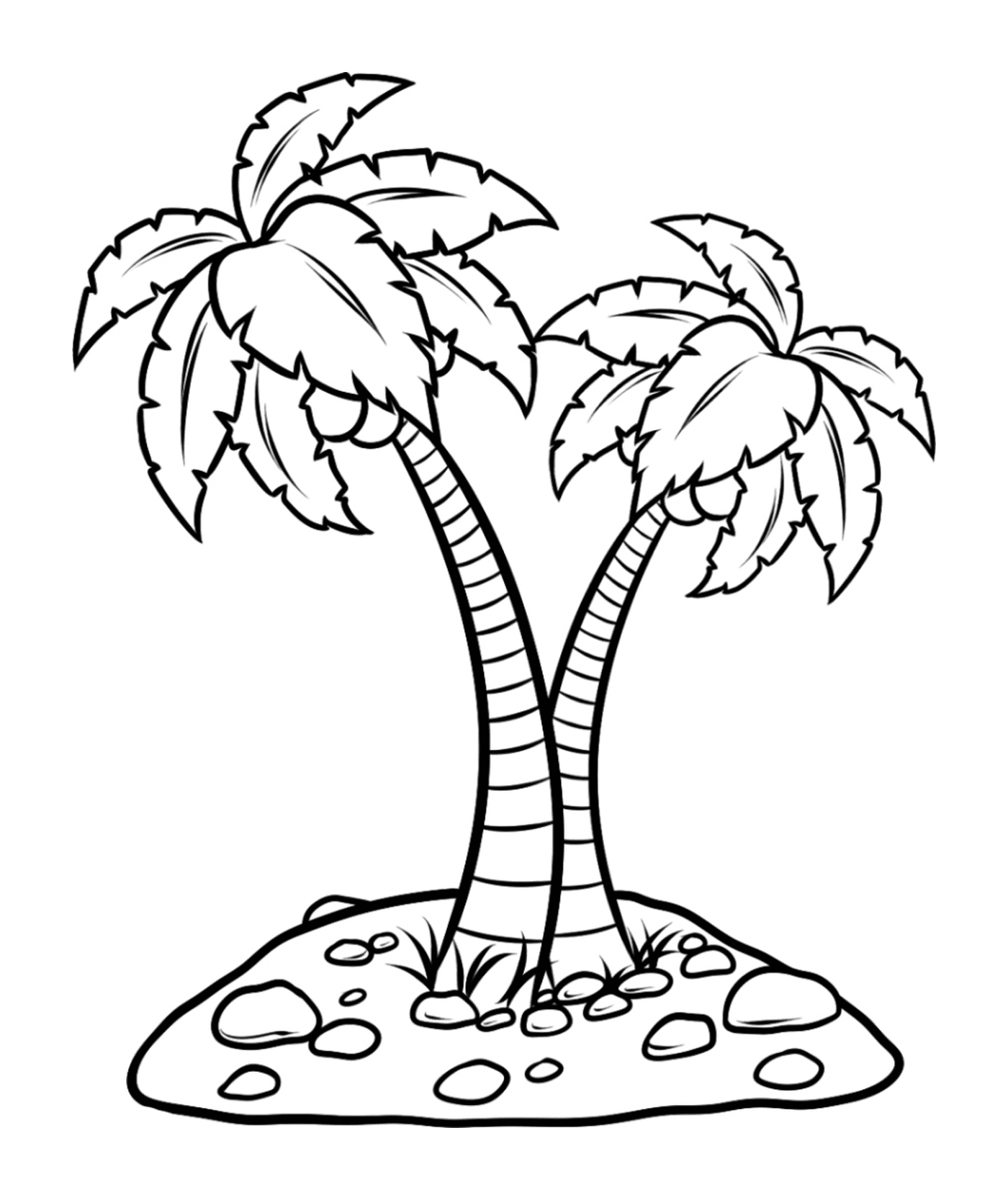  易利棕榈树 