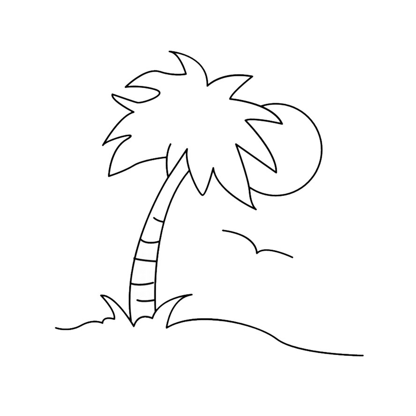  棕榈树3号 