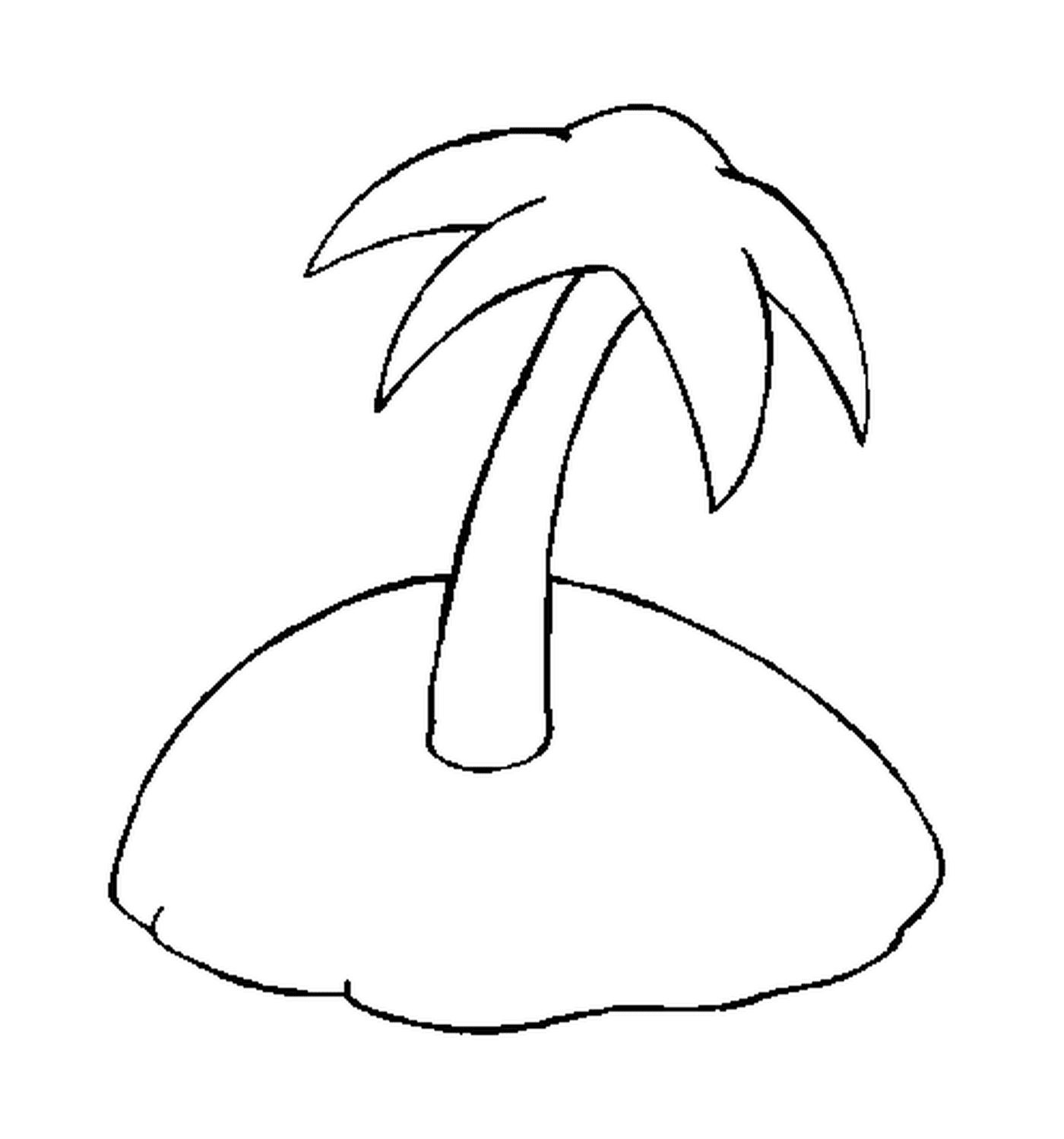  在荒岛上独有的棕榈 