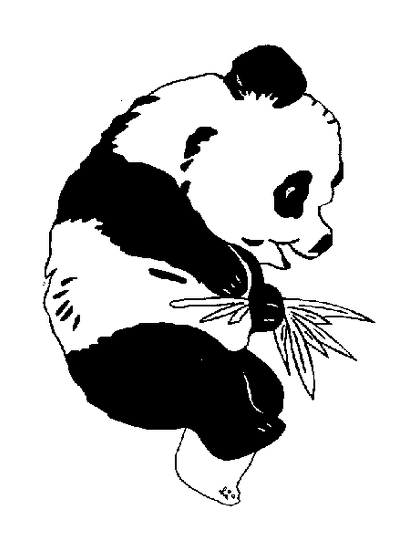  脸谱熊猫 