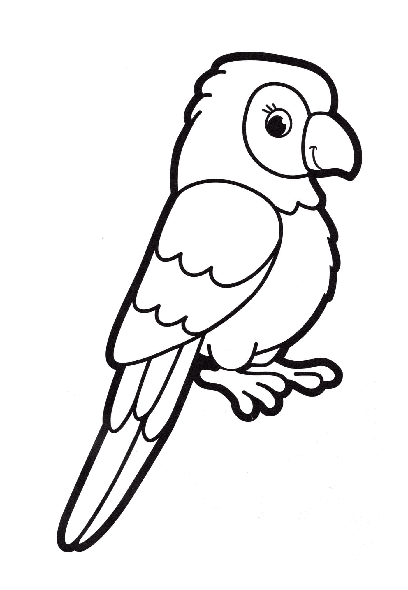  papagaio papagaio de papagaio para jardim de infância 