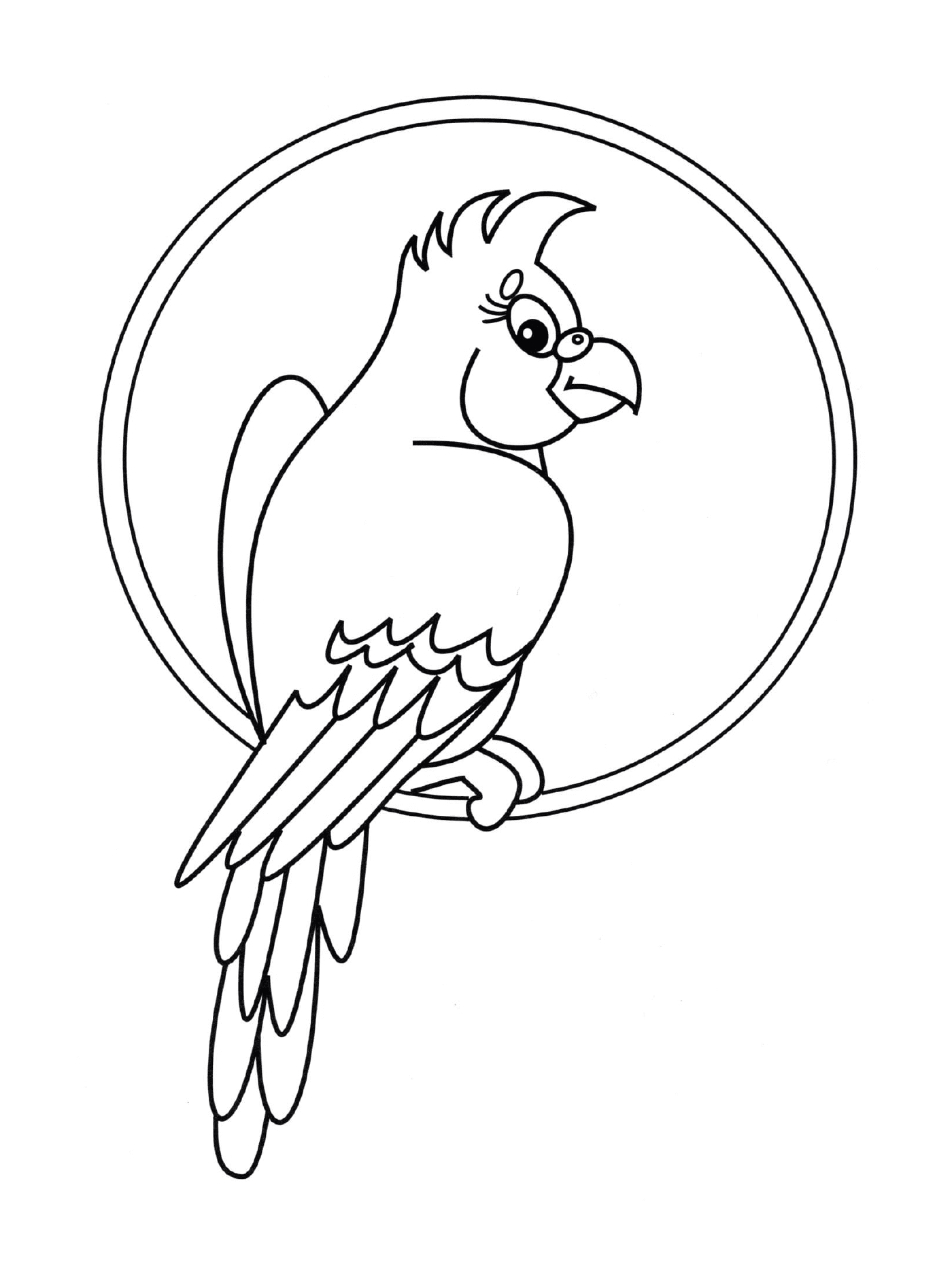  Parrot sentado em um círculo 