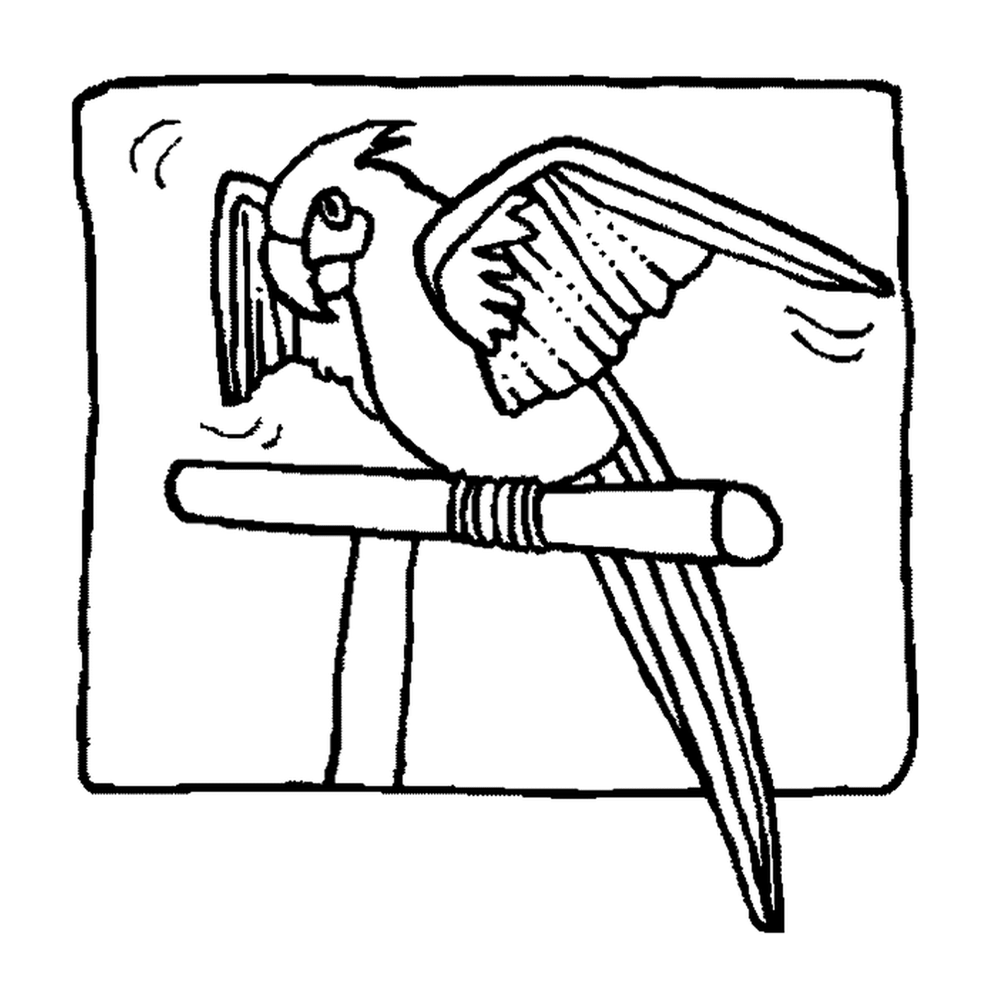  Parrot estendendo suas asas majestosamente 