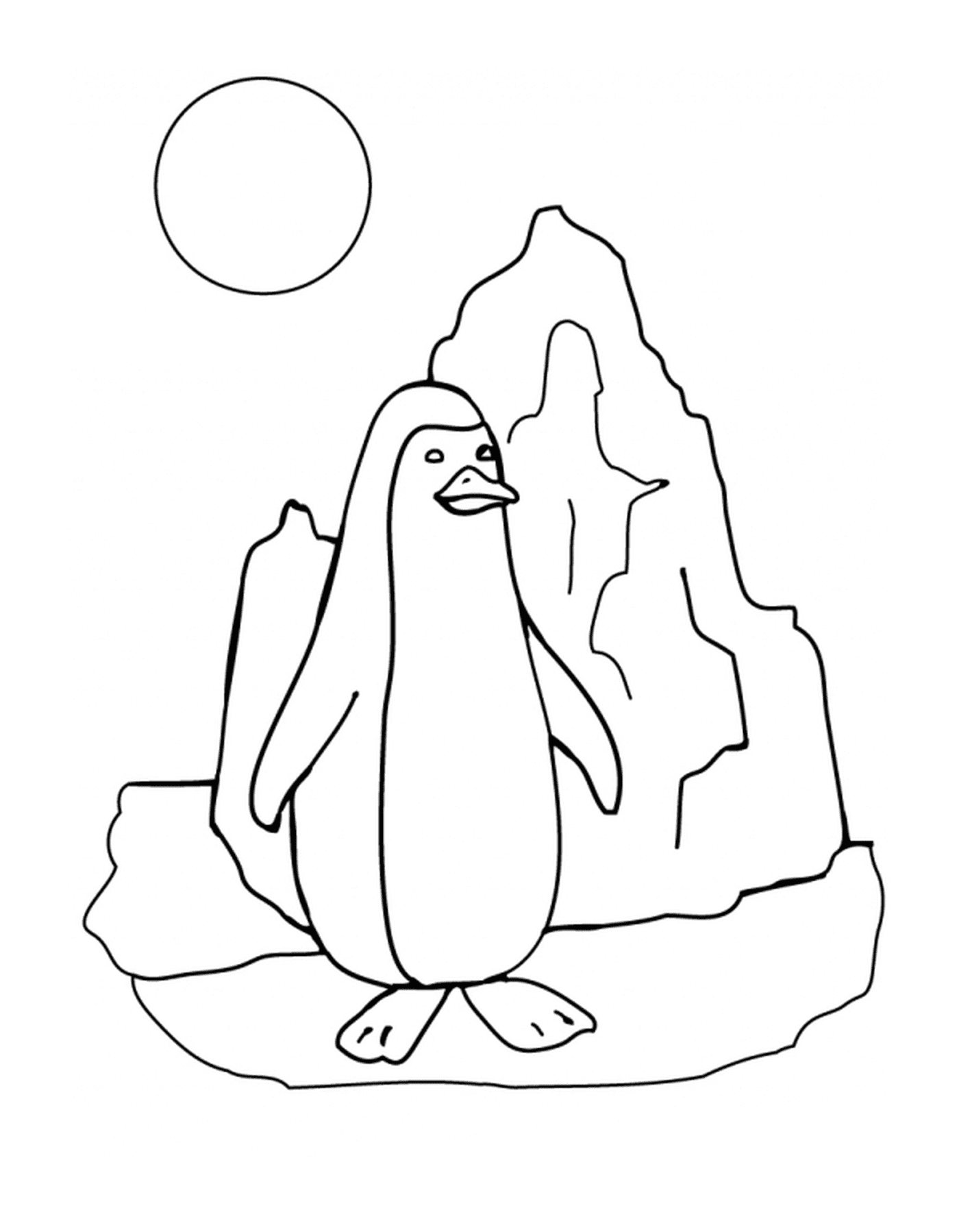  企鹅在阳光的冰面上 