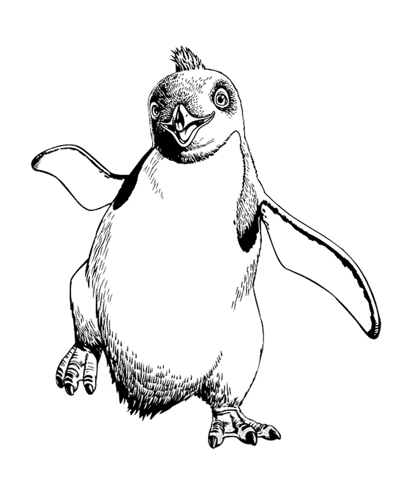  Pinguim andando em silêncio 