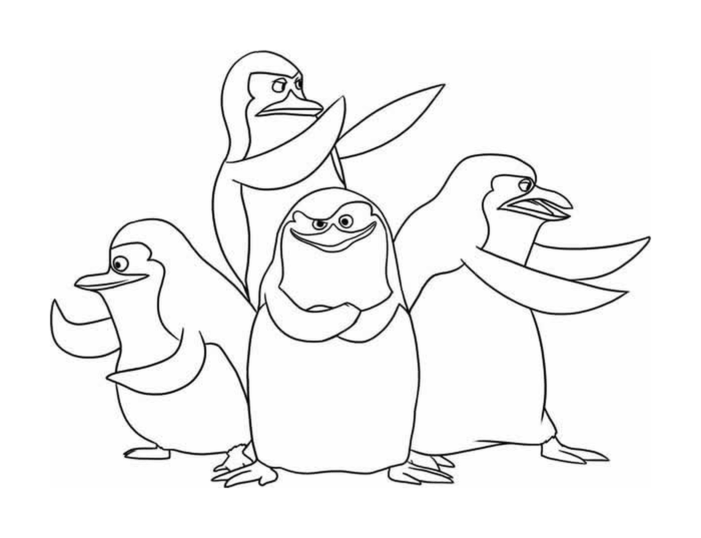  Grupo de pinguins em filas 