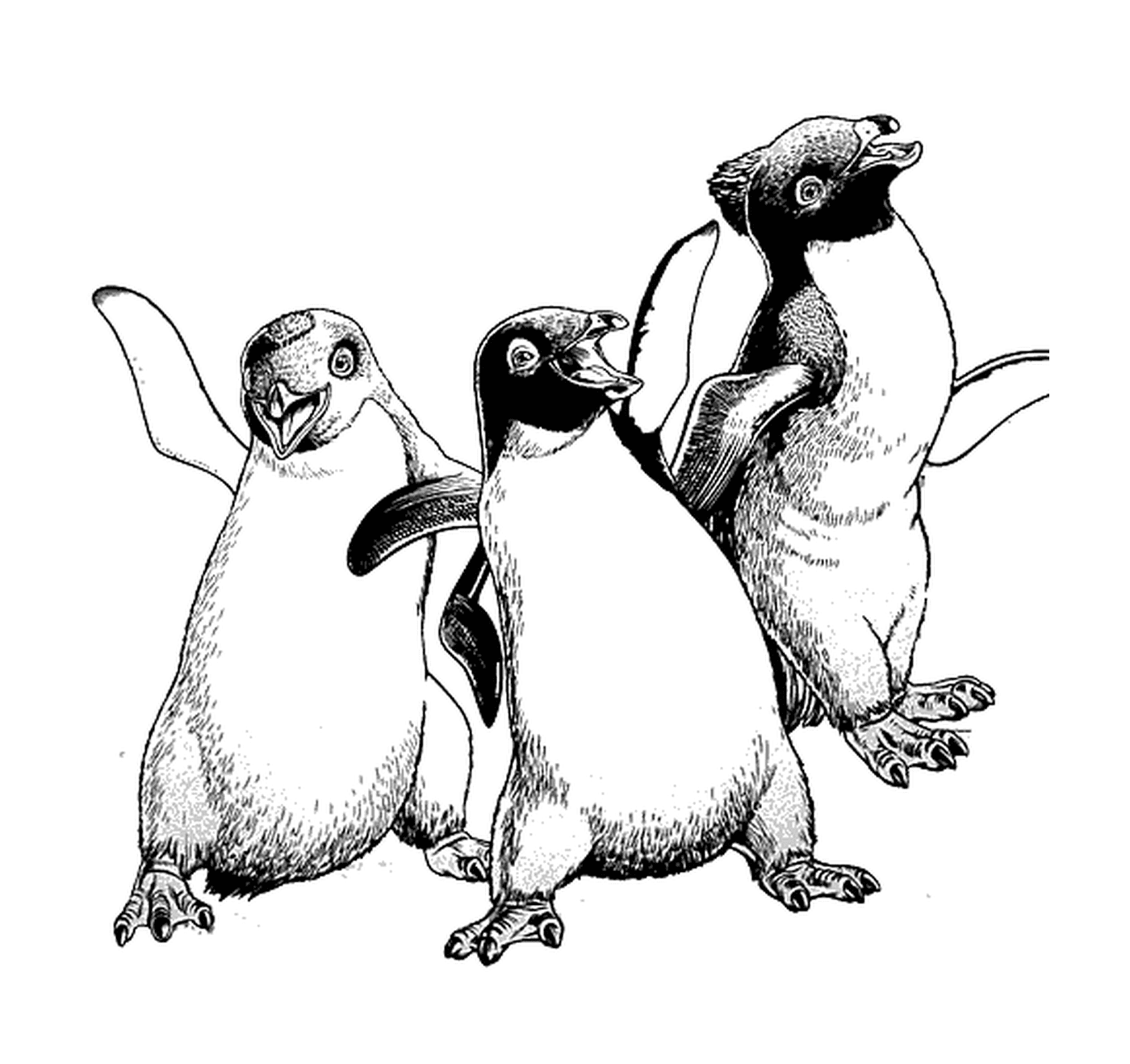  一组三只企鹅并肩生存 