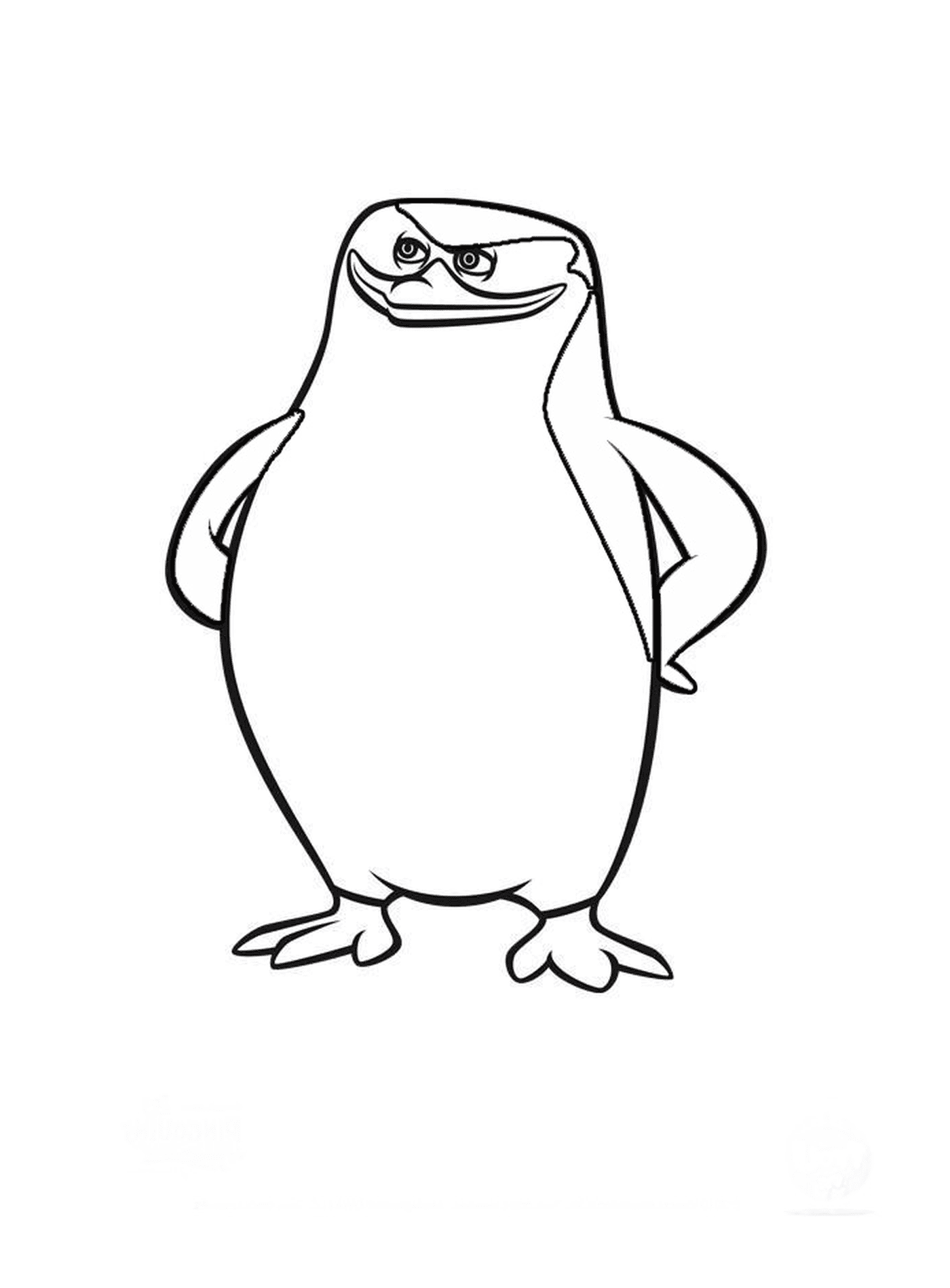  मेडागास्कर पेंगुइन सुरक्षित 