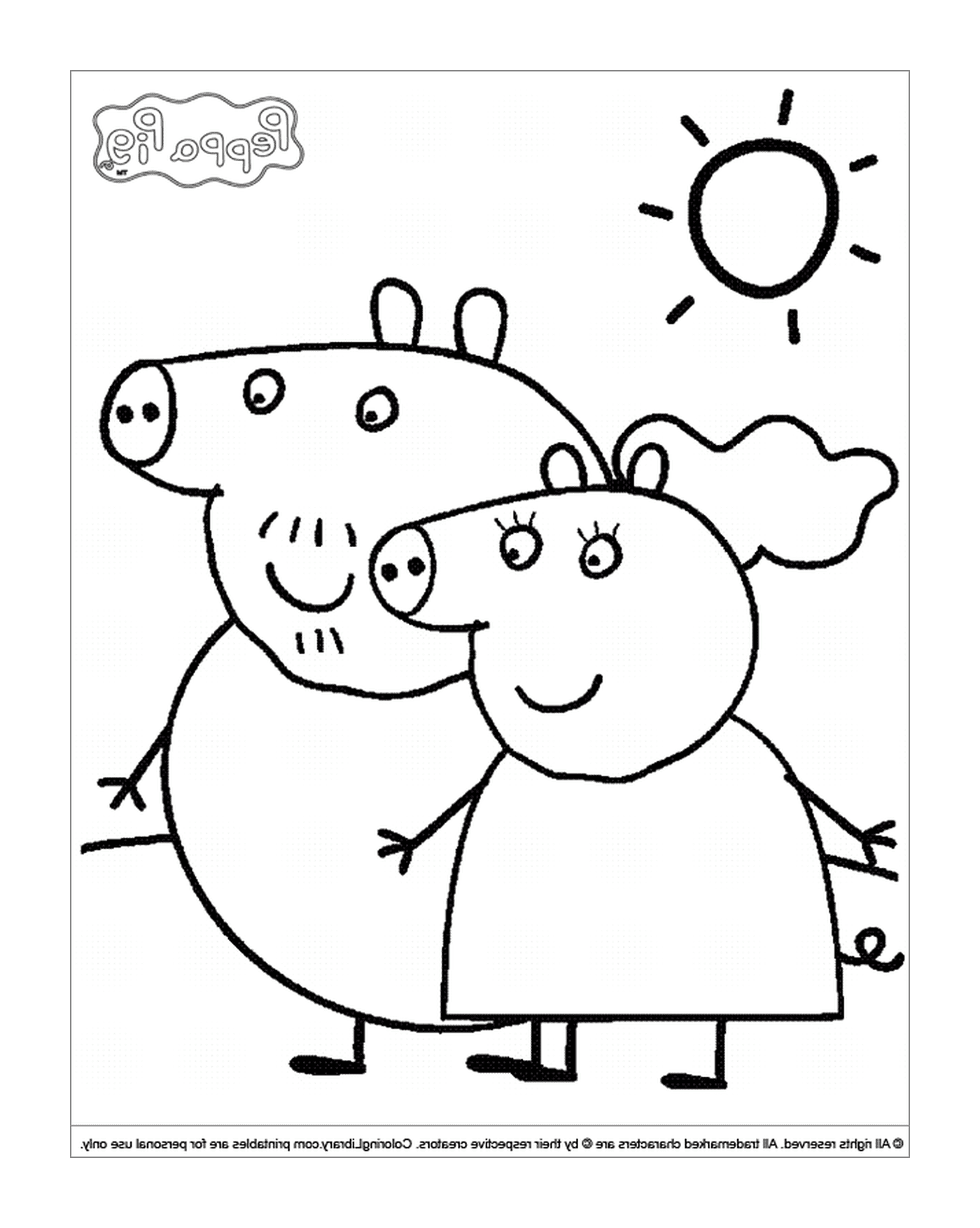  زوجان من الخنازير يقفان في حقل 