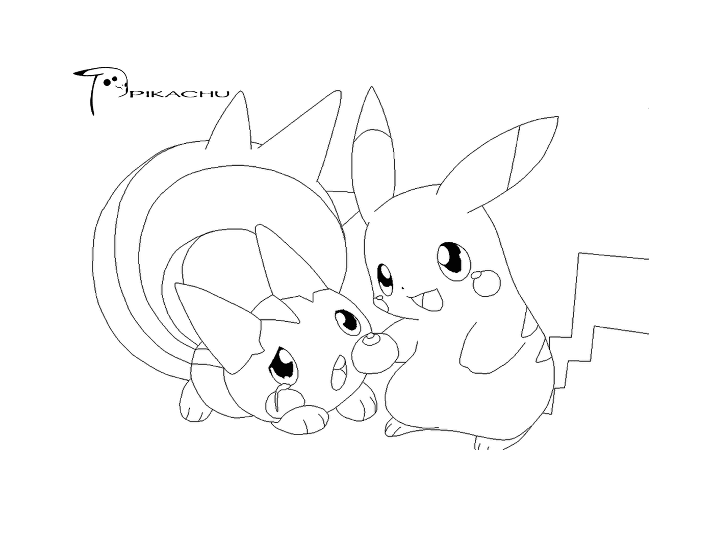  Dois Pikachus juntos 