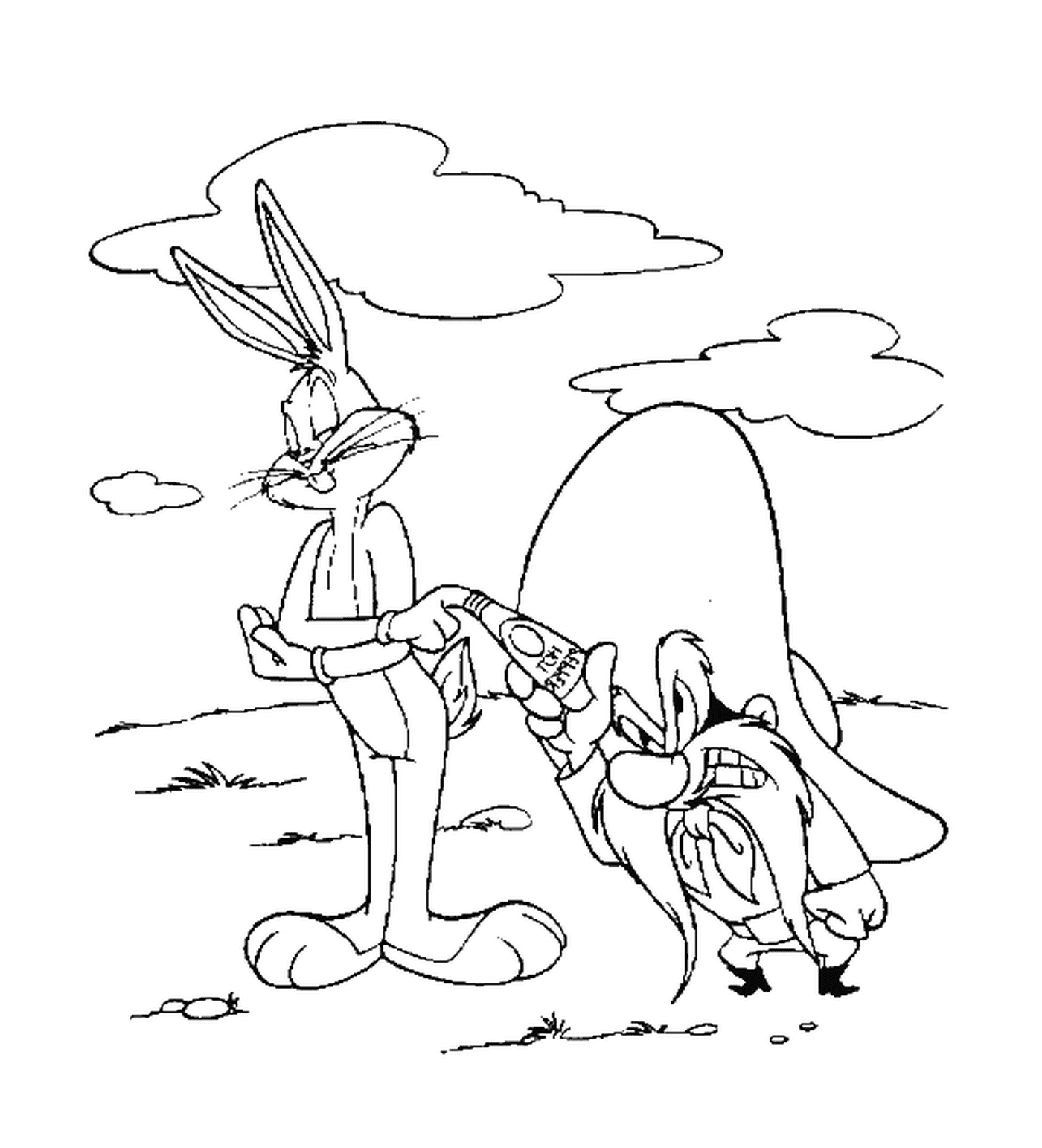  وسام القرّان و بقع الأرنب 