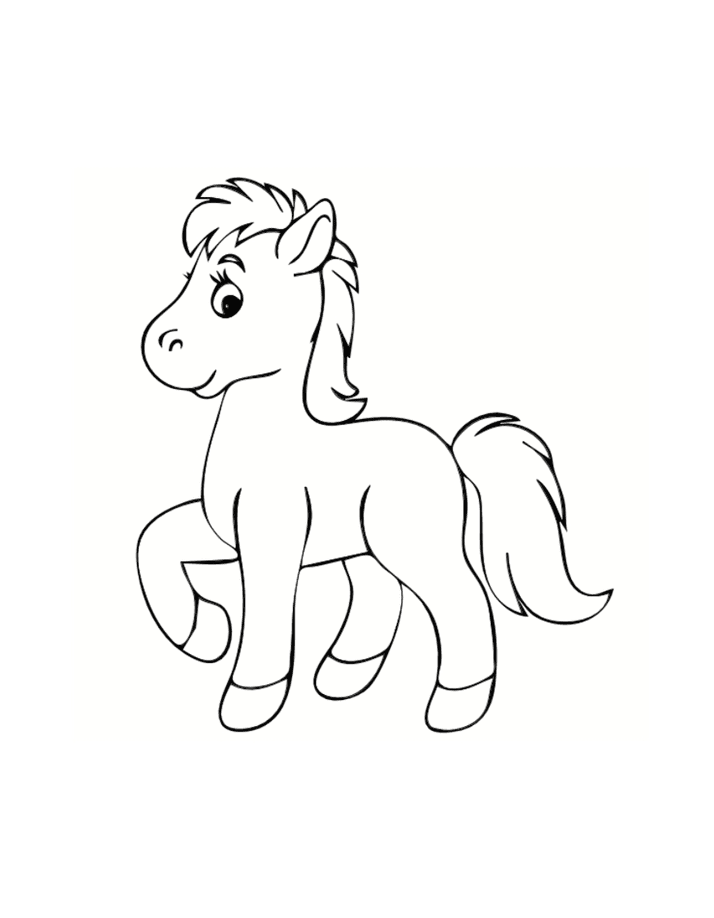  Pony, adorável cavalo em miniatura 