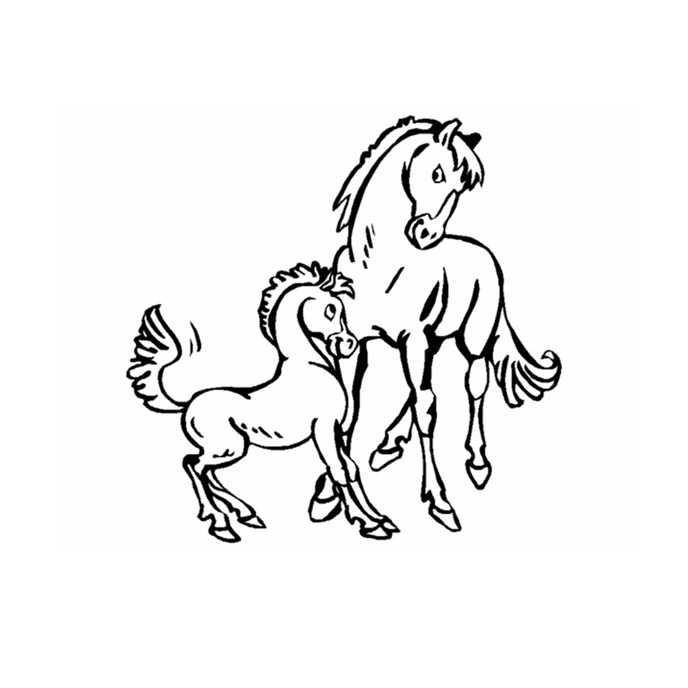  Pony e cavalos, terno vínculo familiar 