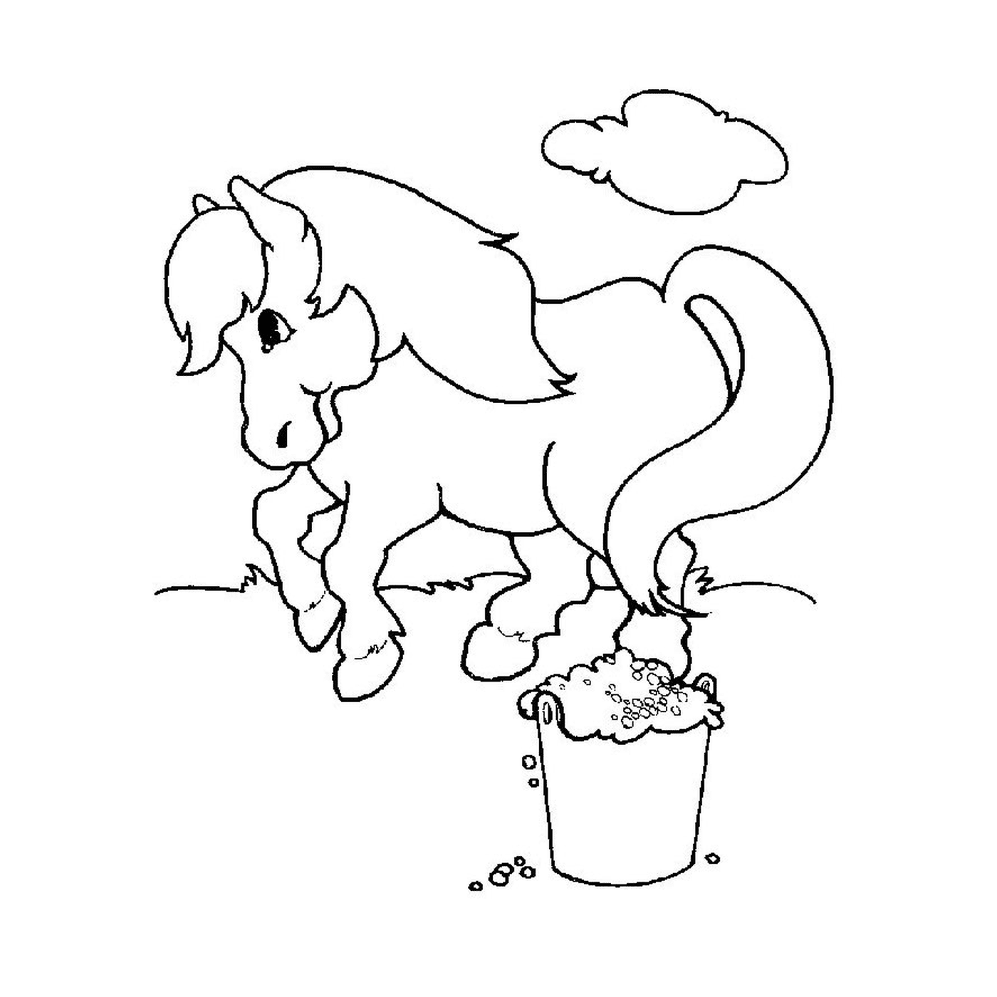  Cavalo ao lado do balde 