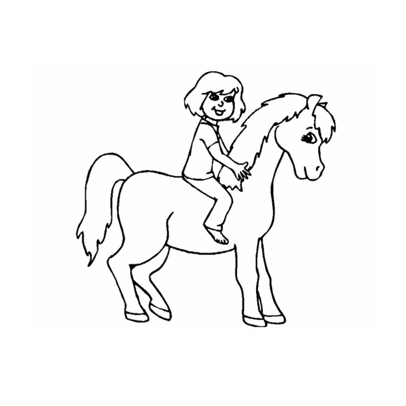  equitação menina cavalo 
