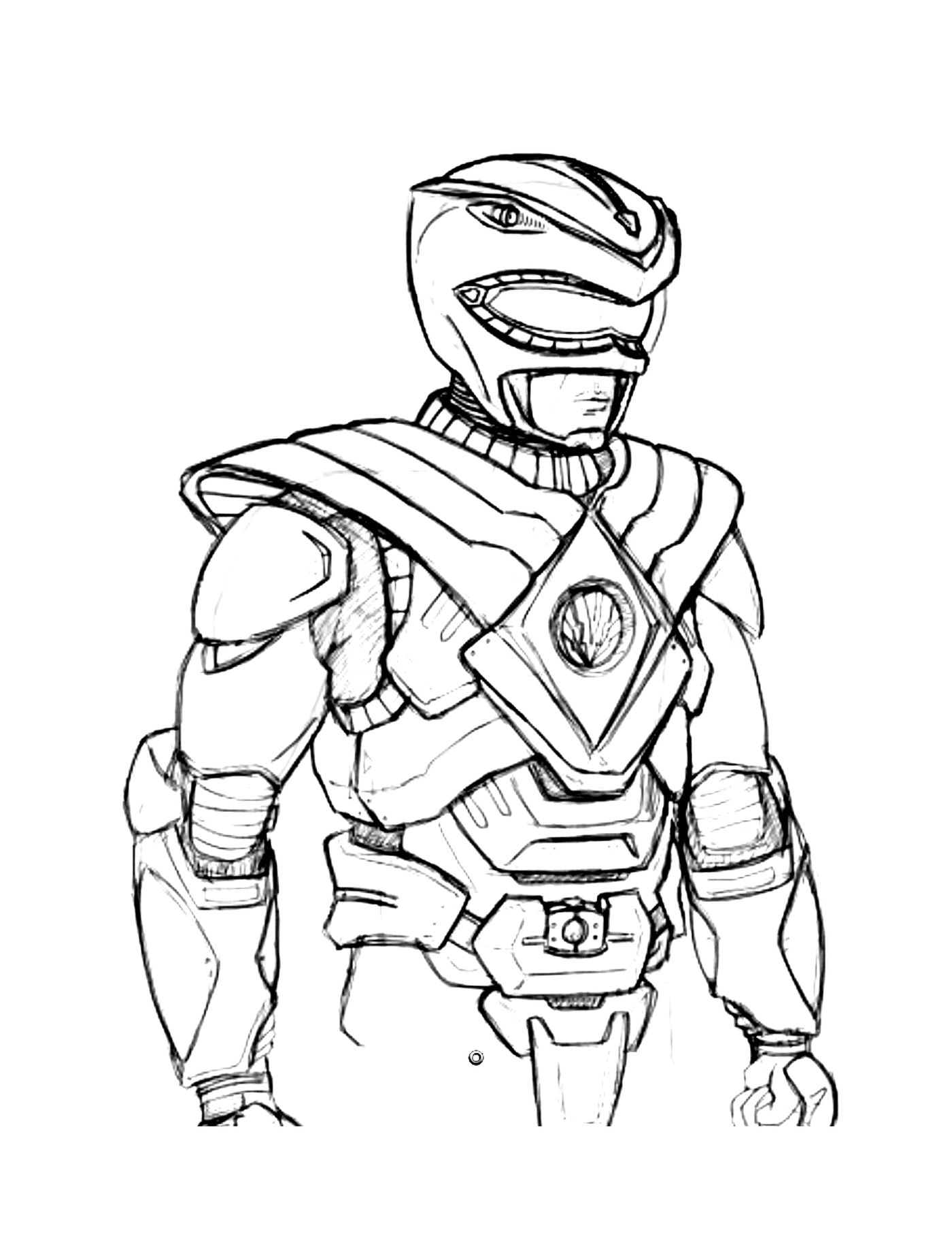  Power Ranger Amador 
