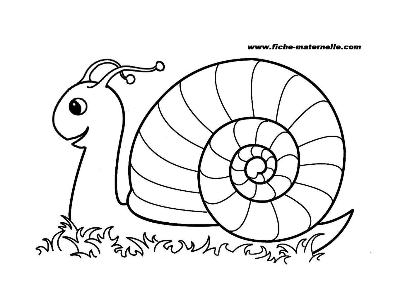  缓慢而好奇的蜗牛 