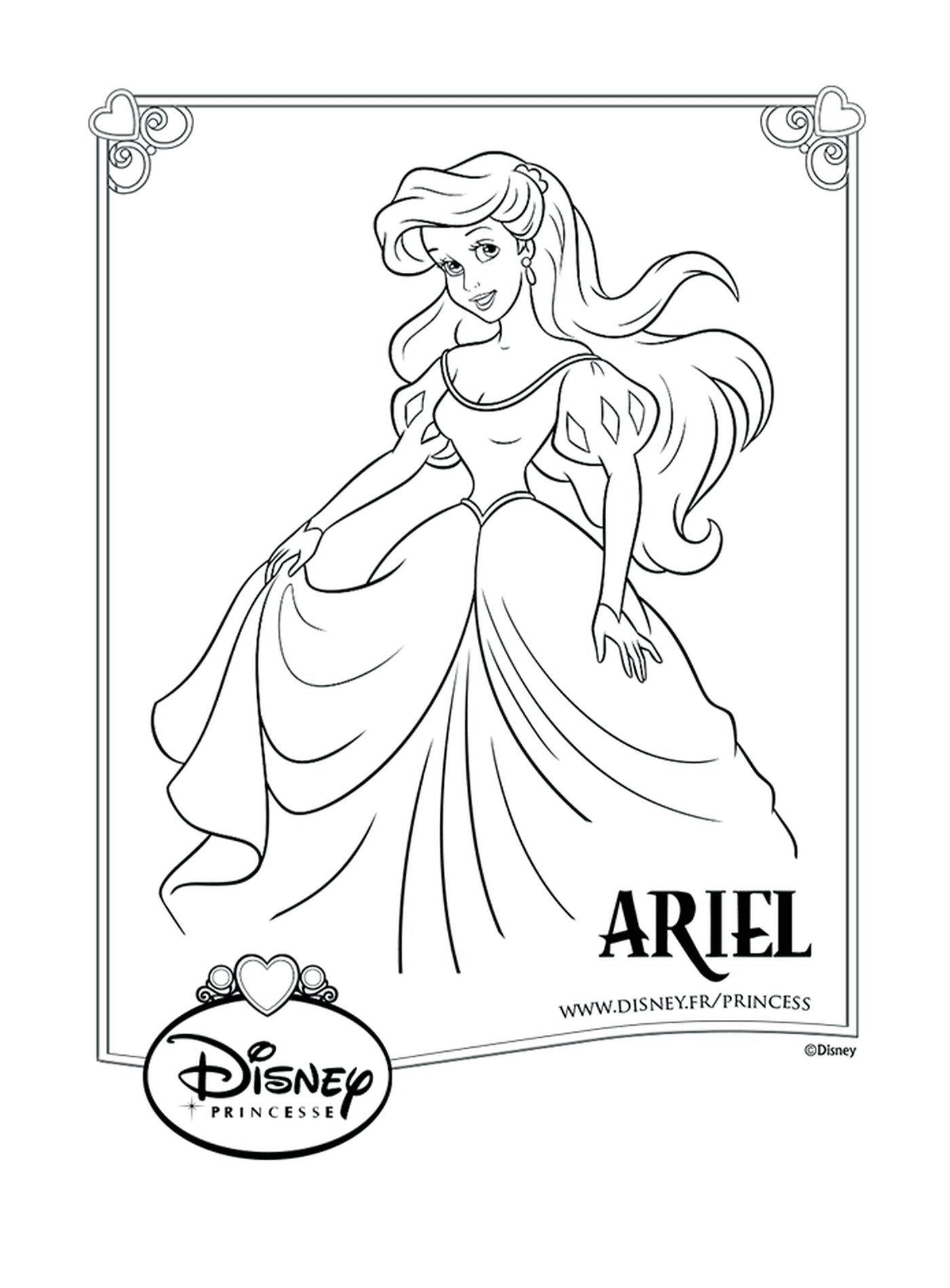  Ariel, uma menina de cabelos compridos 