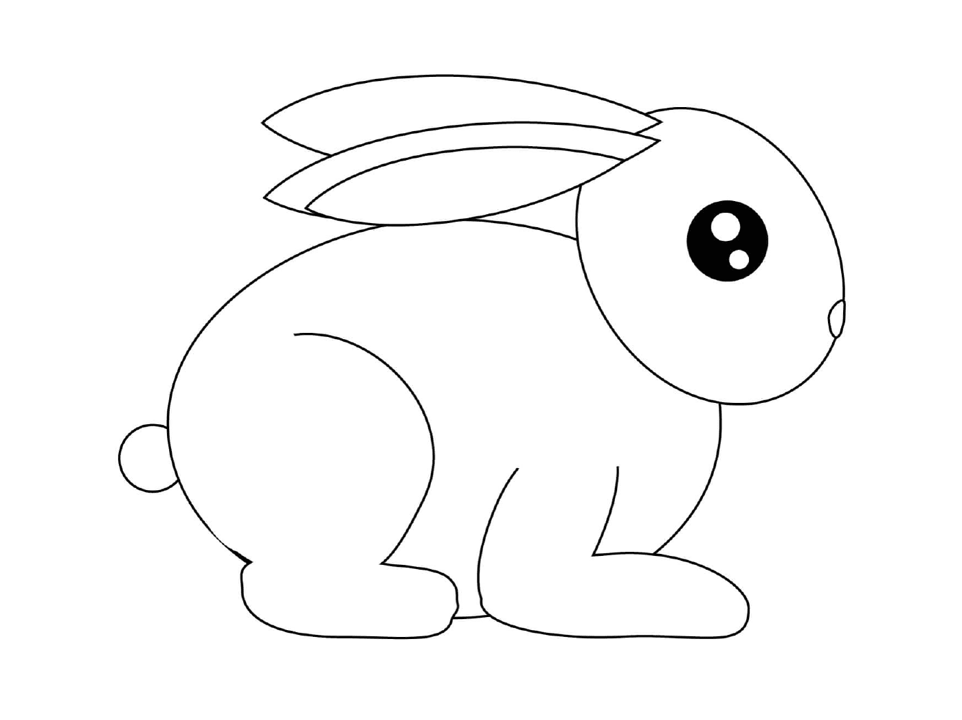  الأرنب الصغير المستعد للركض 