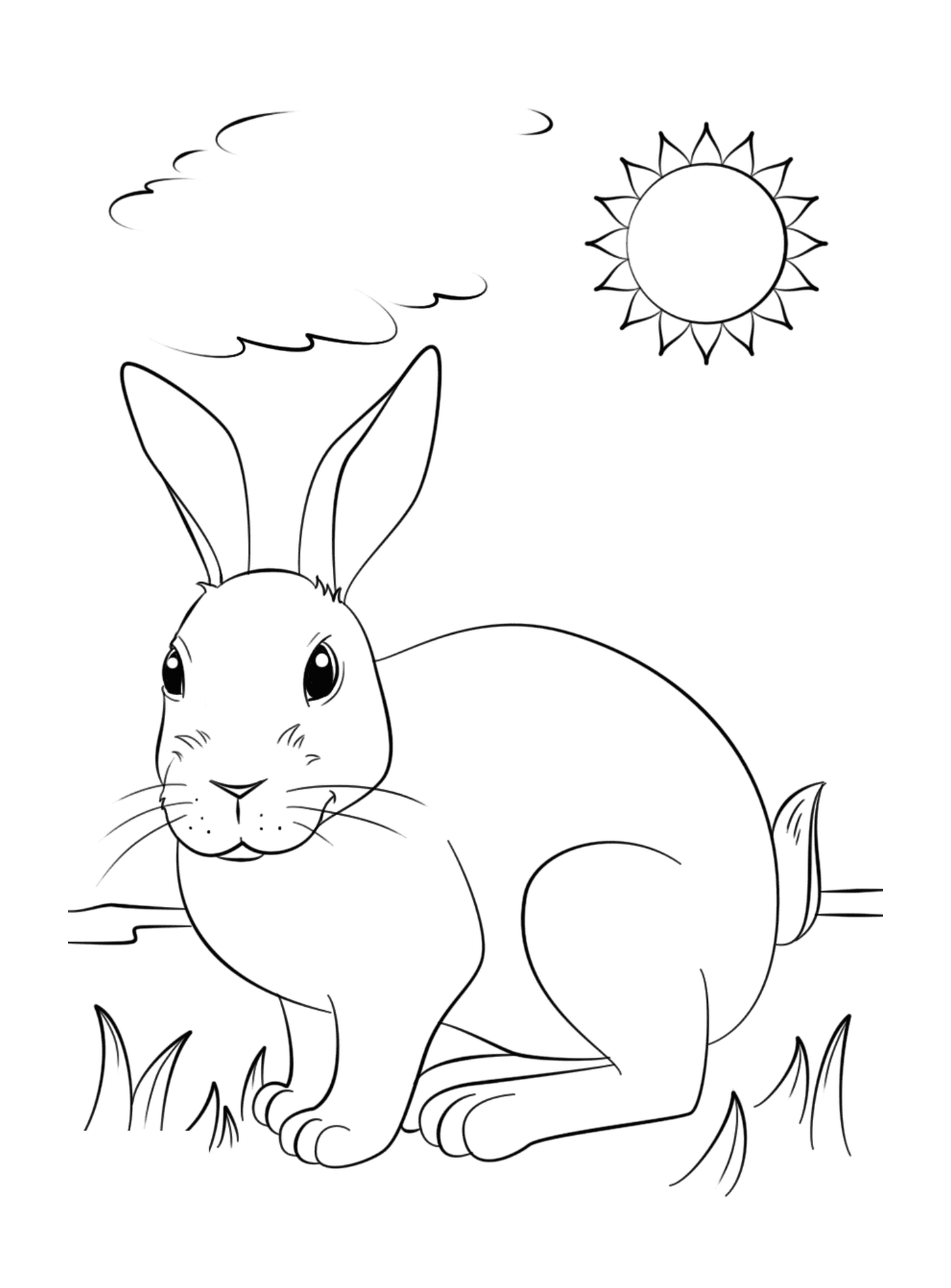  现实的兔子享受阳光 