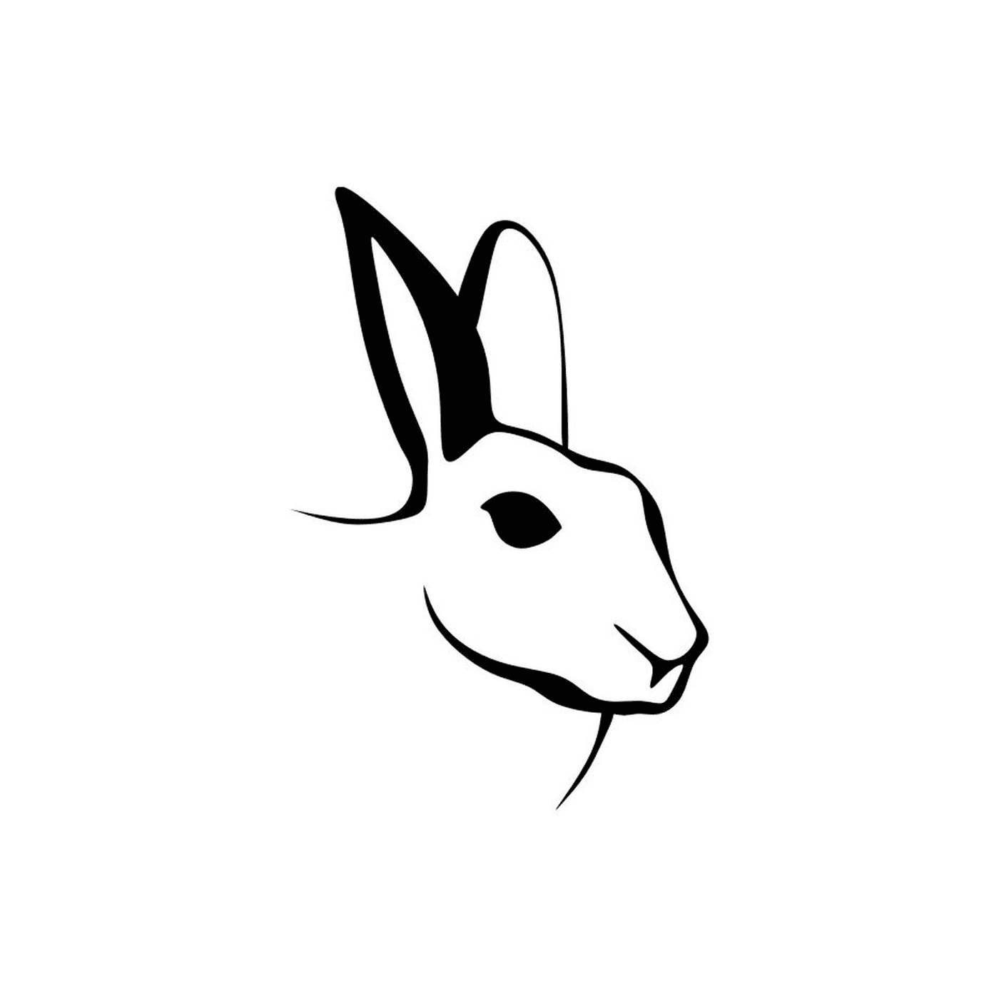  兔子的头 