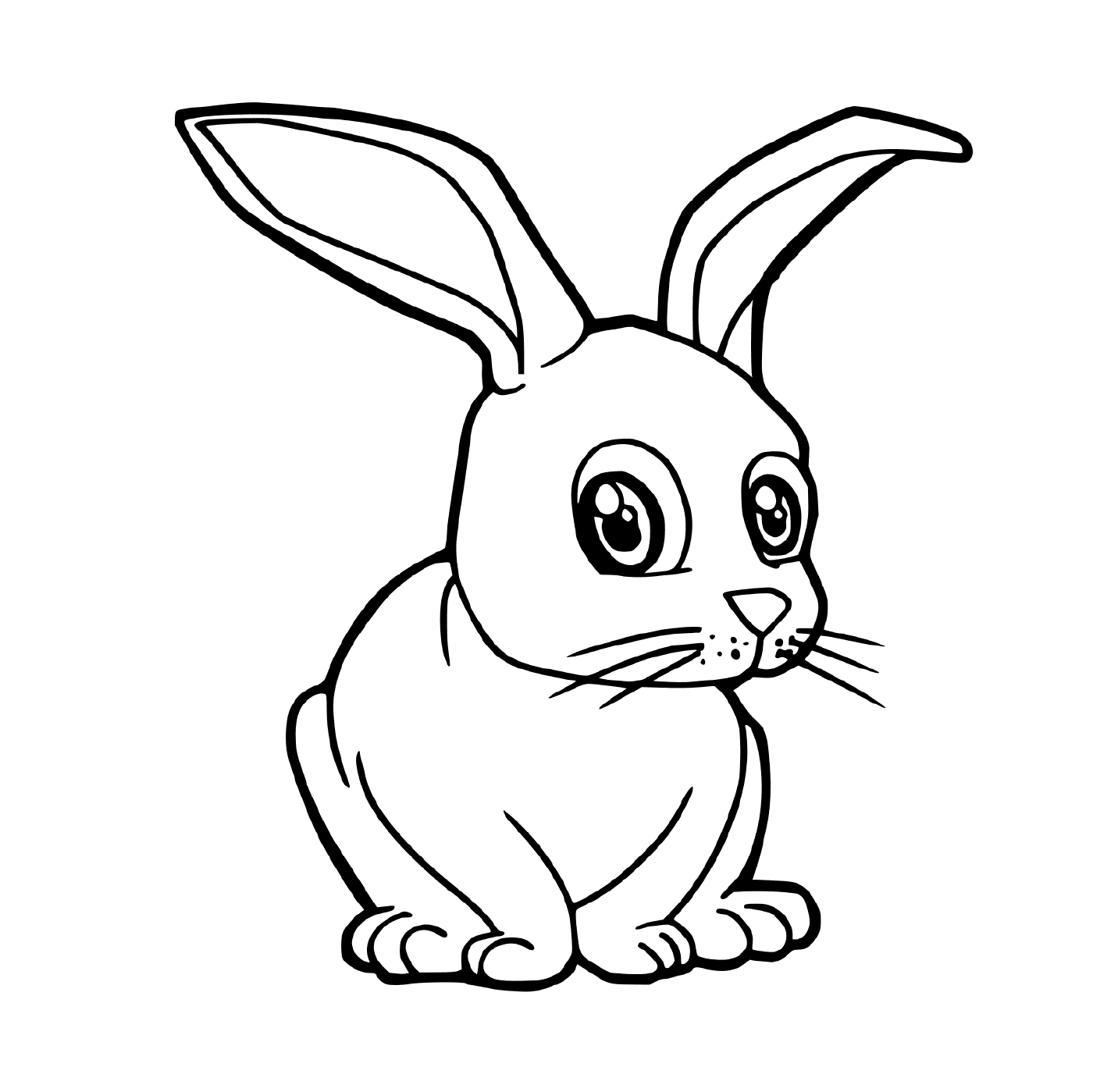  兔子太可爱了 