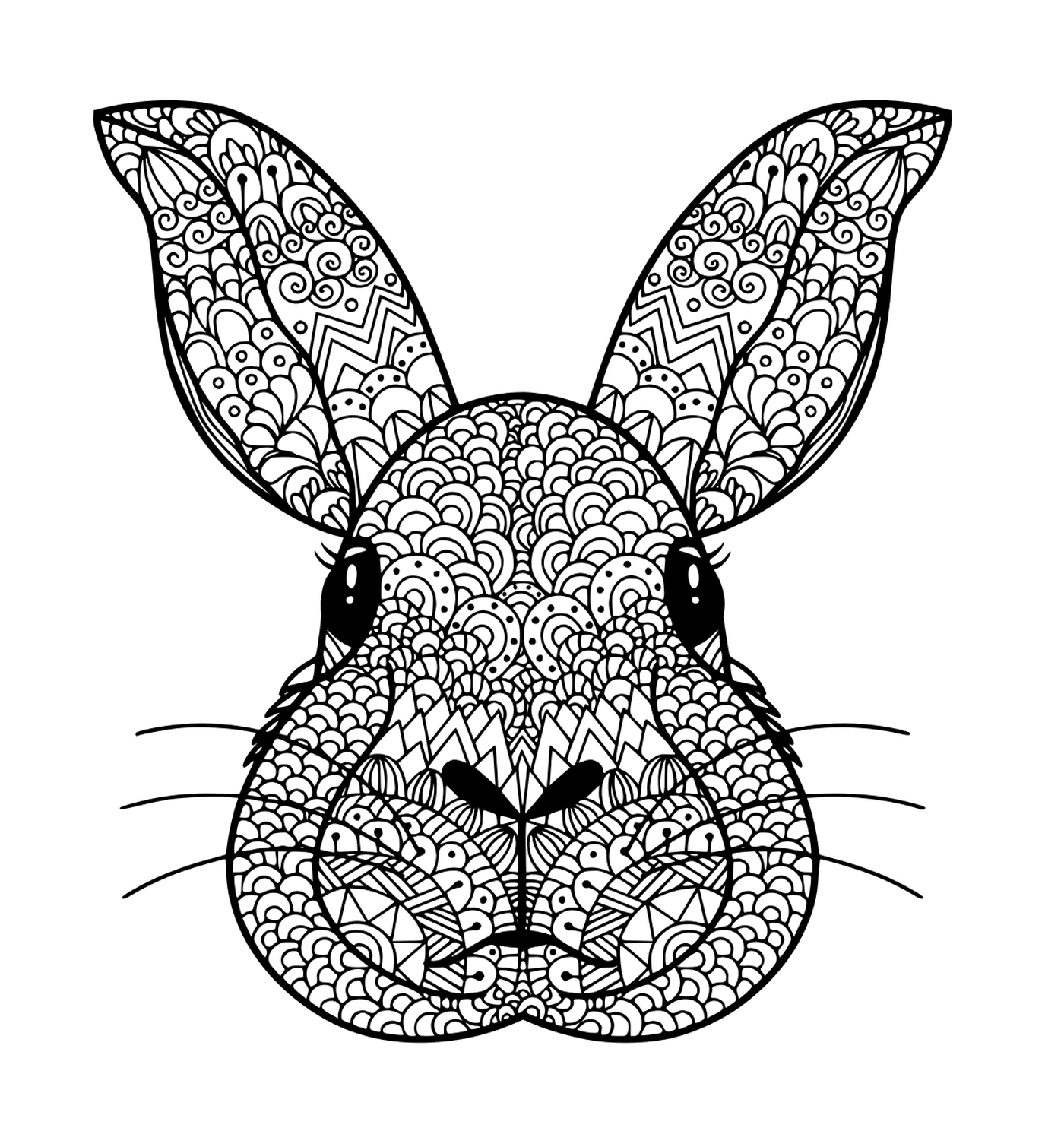  Cabeça de coelho colorido 