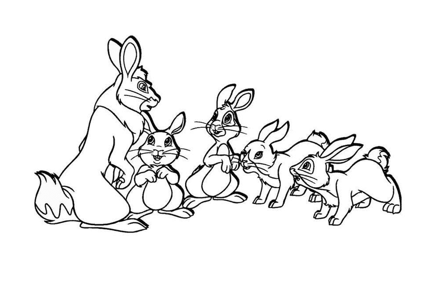  مجموعة الأرانب الصغيرة 