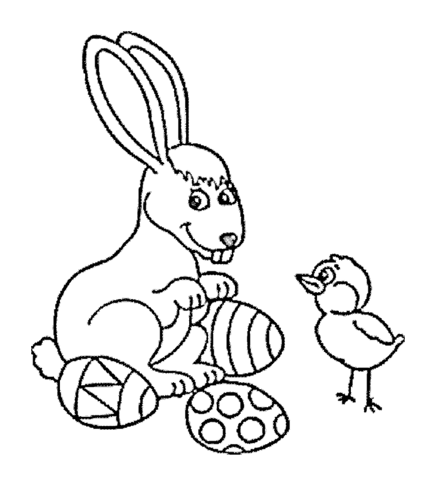  兔子和鸟类公司 