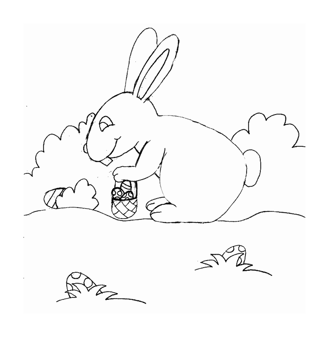  兔子采摘巧克力 