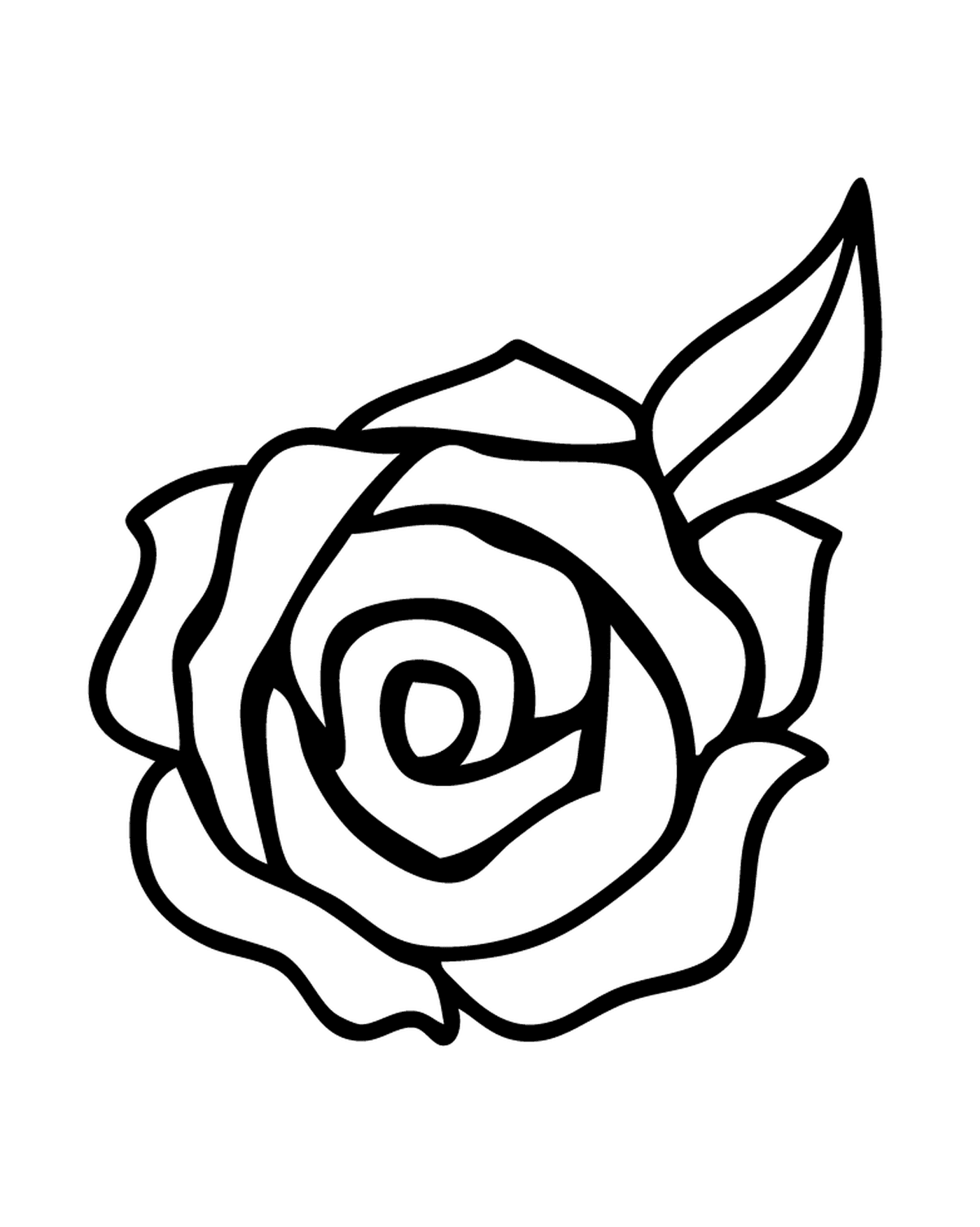  rosas bouquet elegante 