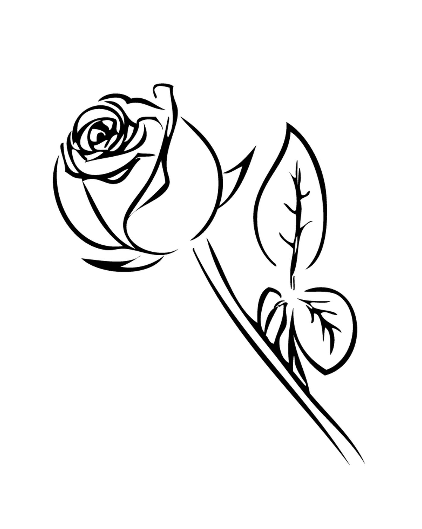  Rosa em preto e branco 