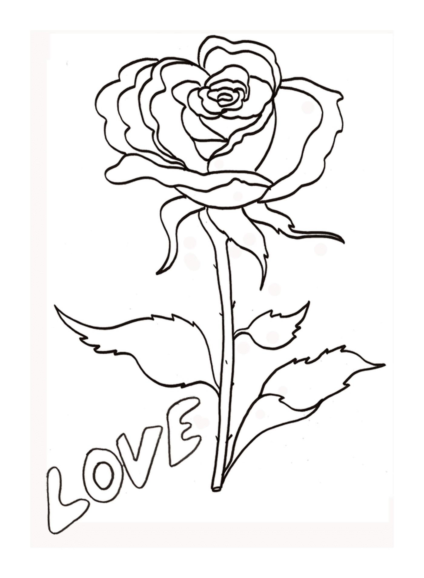  玫瑰与《爱之玫瑰》 