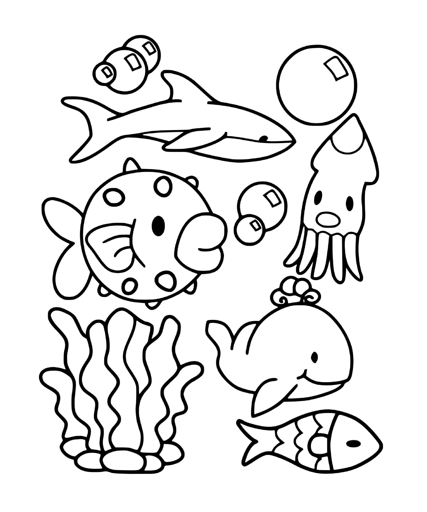  um grupo de animais marinhos 