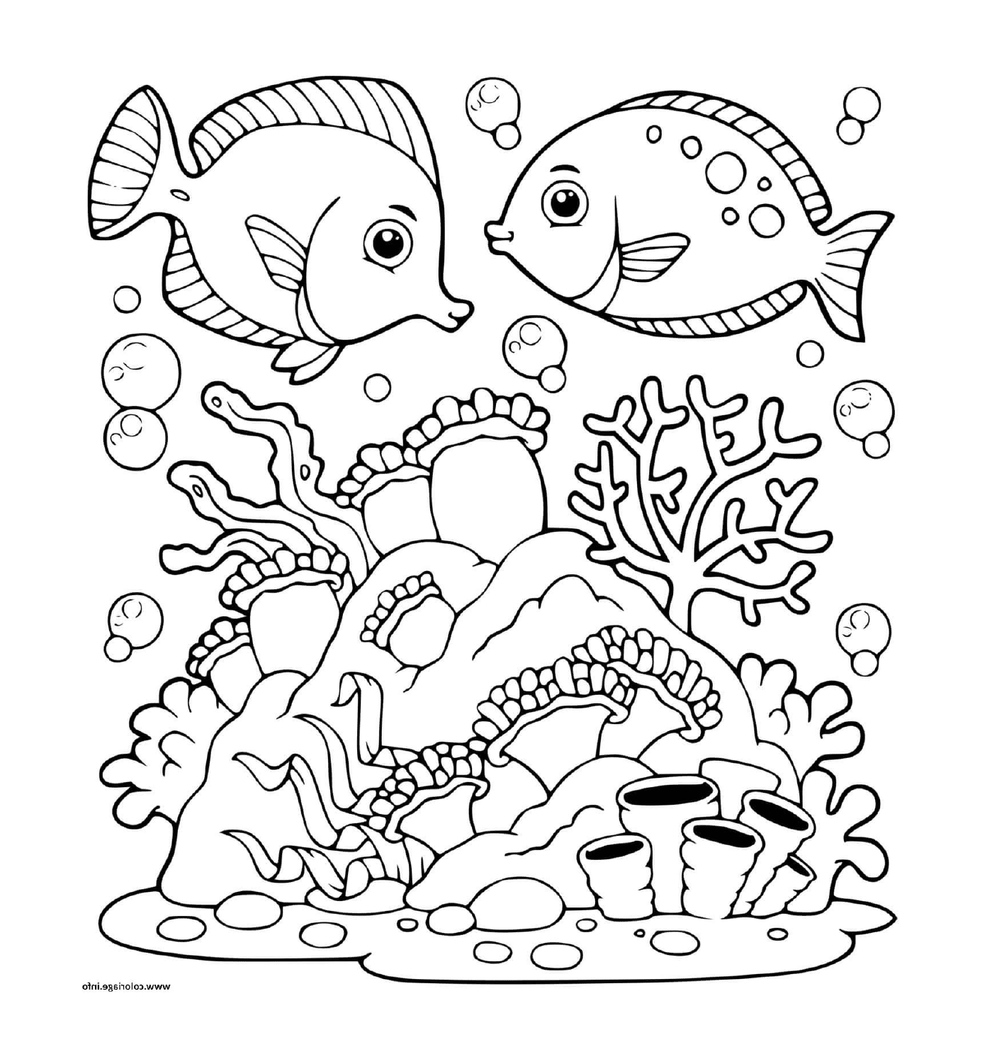  दो मछली 