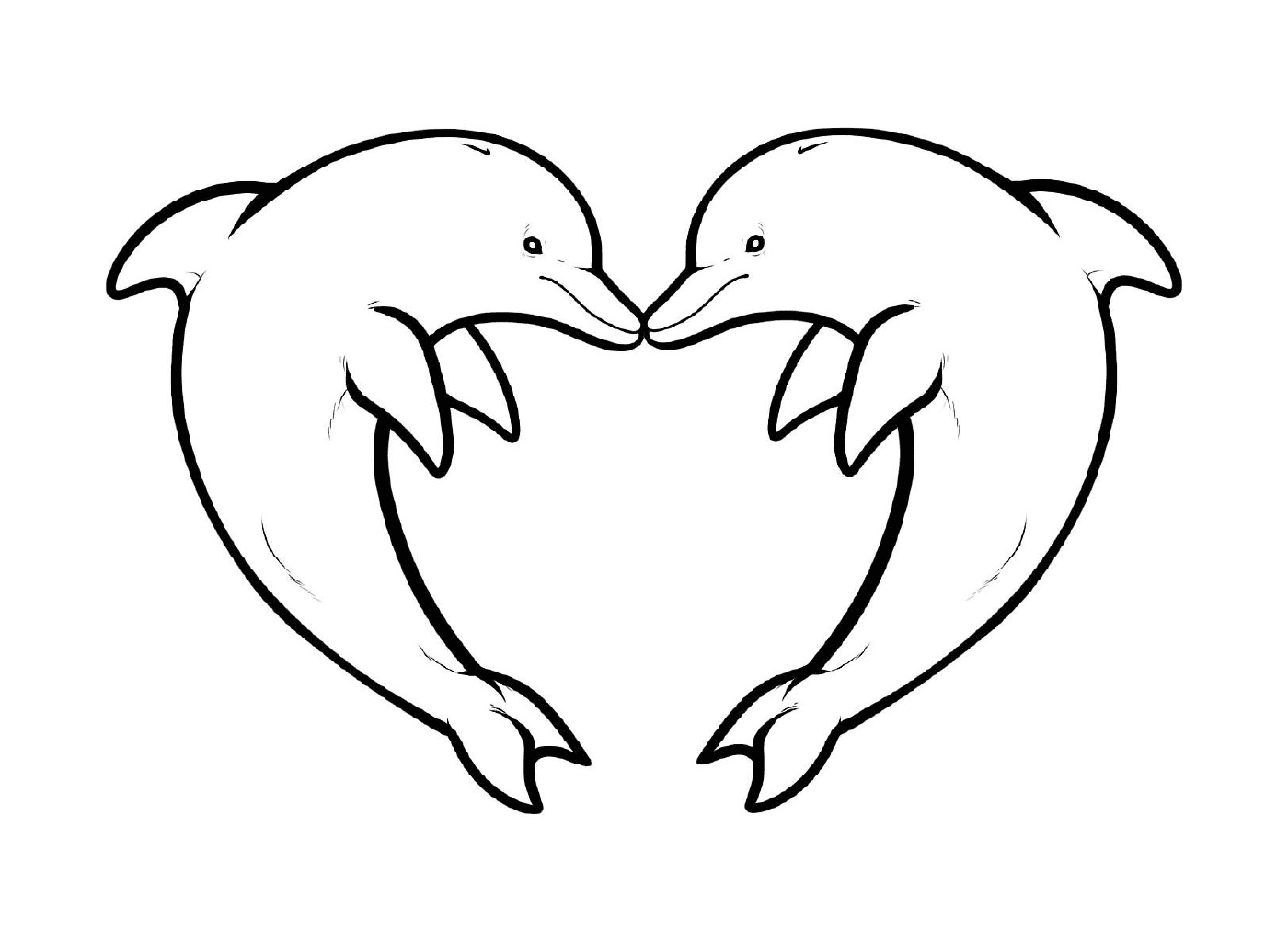  形成心脏形状的两只海豚 