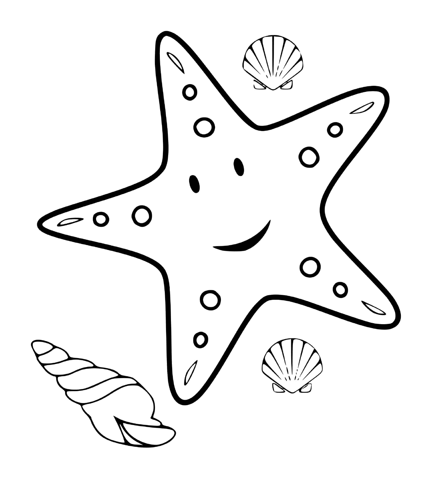  Uma estrela do mar e do marisco 