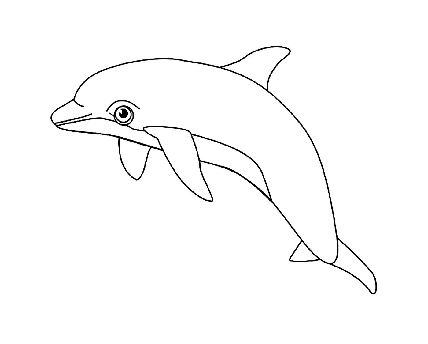  um golfinho aquático 