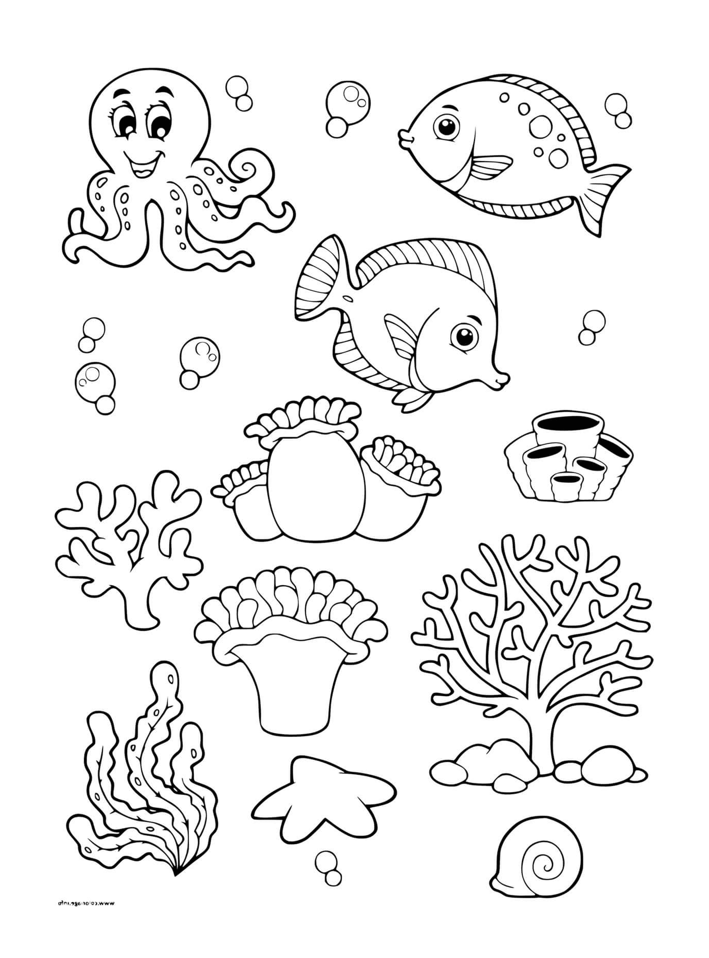  Fundo marinho com vários animais marinhos 