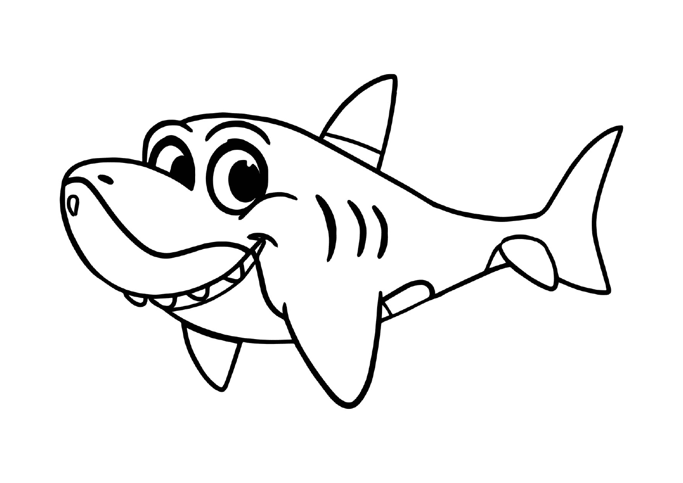  tubarão sorriso fácil 