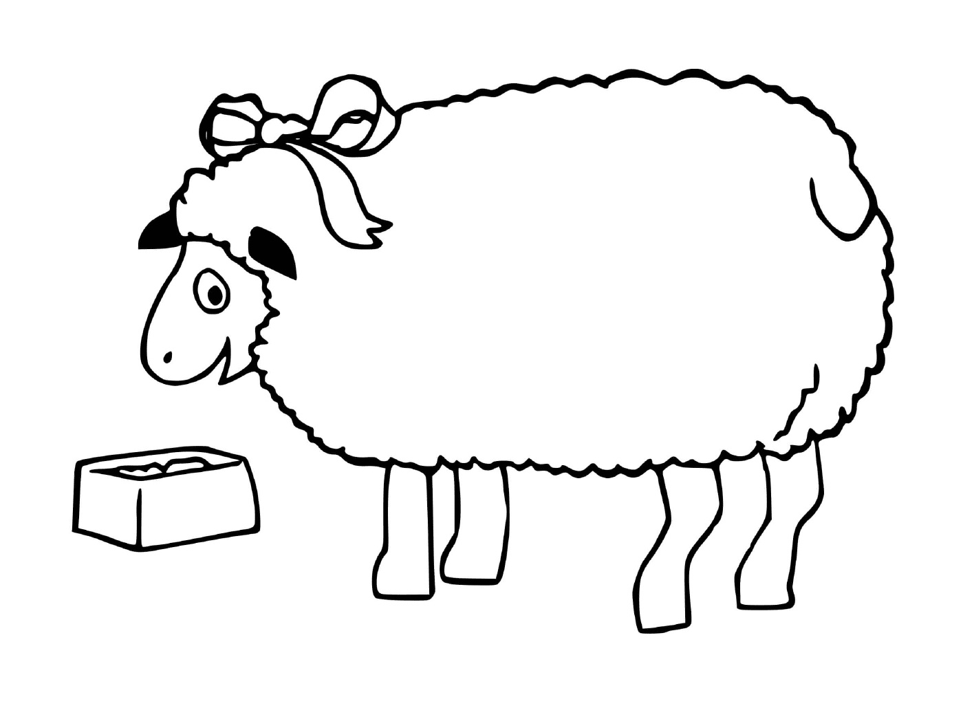  ovelha comendo 