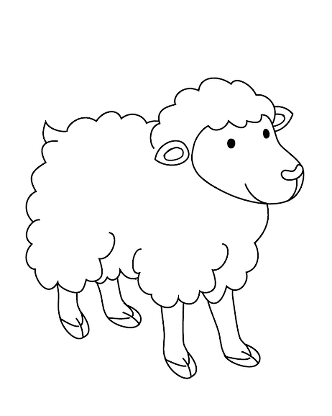  ovelha com lã longa 