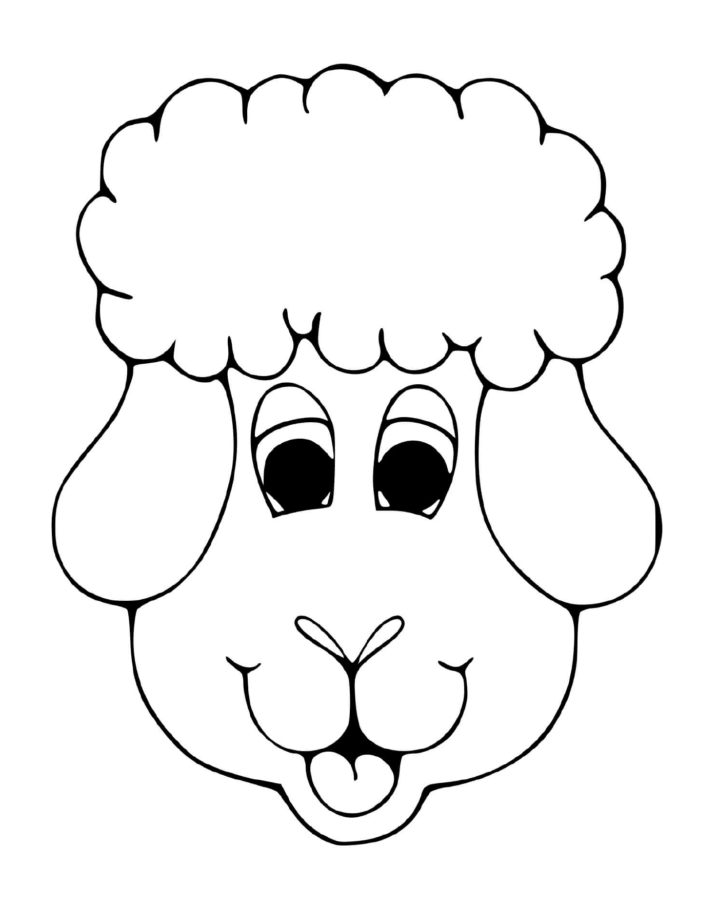  Olho de ovelha doce 