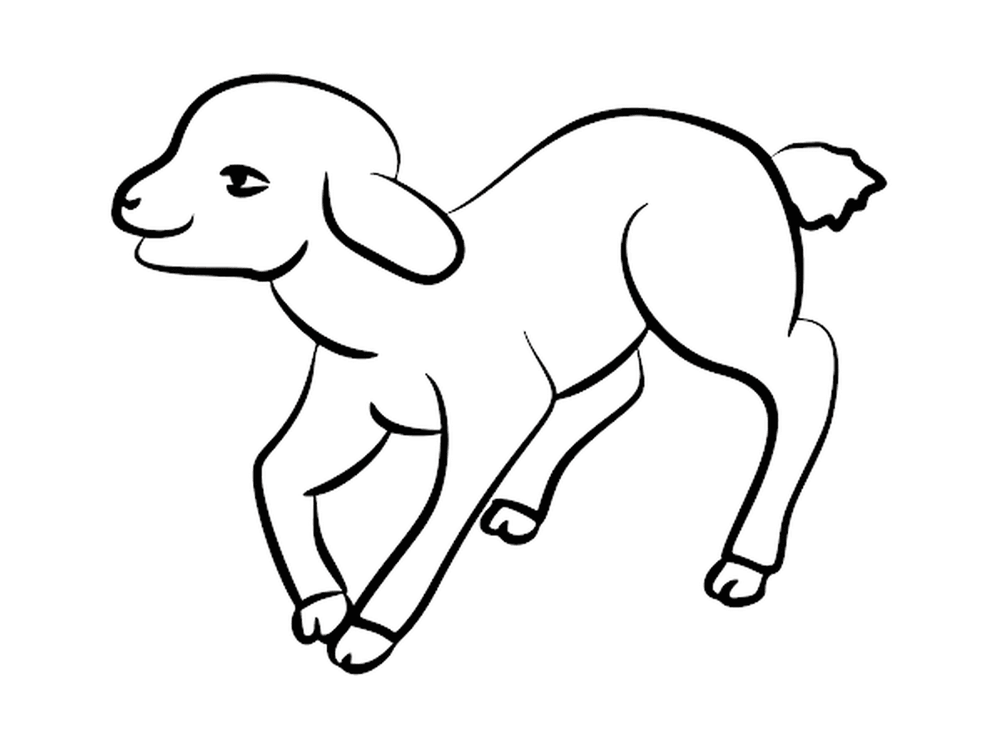  Lamb em pé, ilustração fofa 