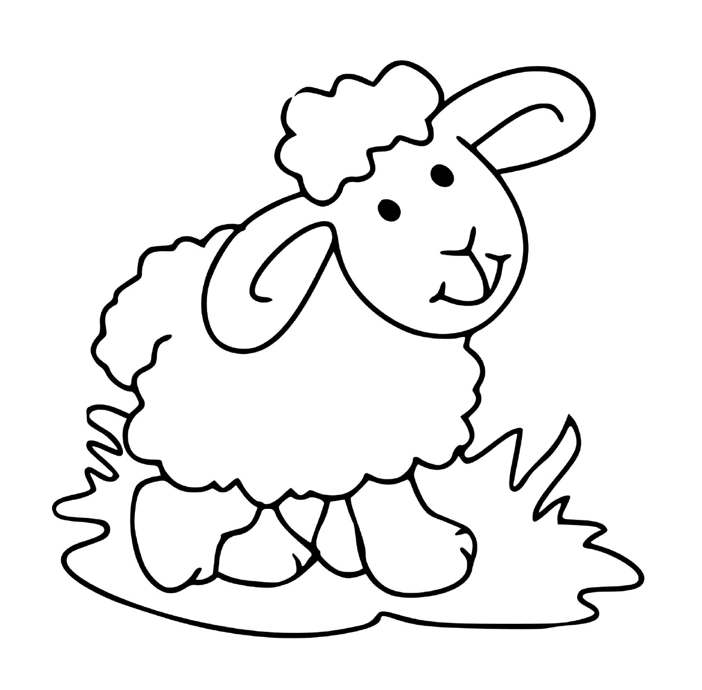  Mouton pa pacífica grama pastada 