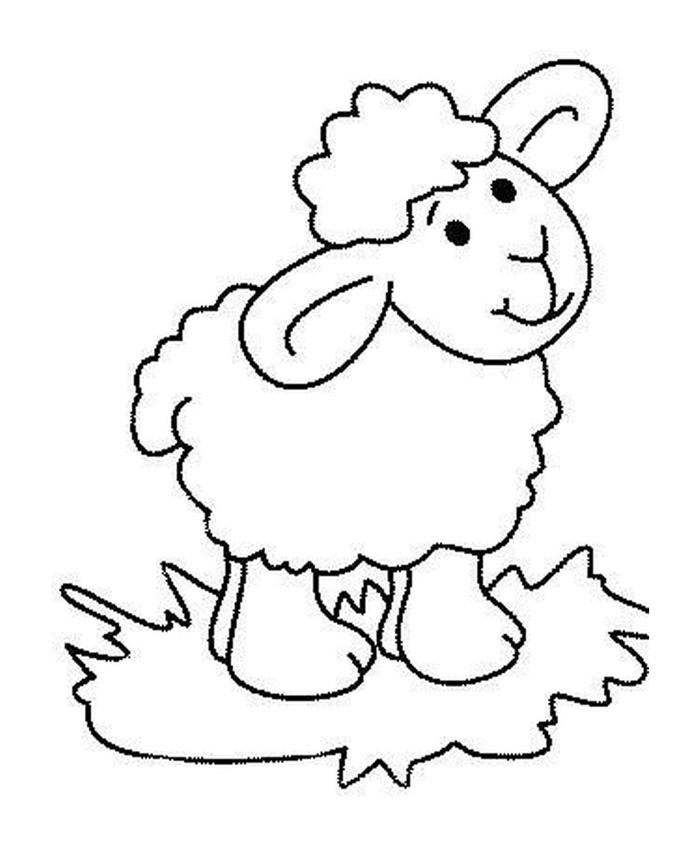  ovelha para crianças 