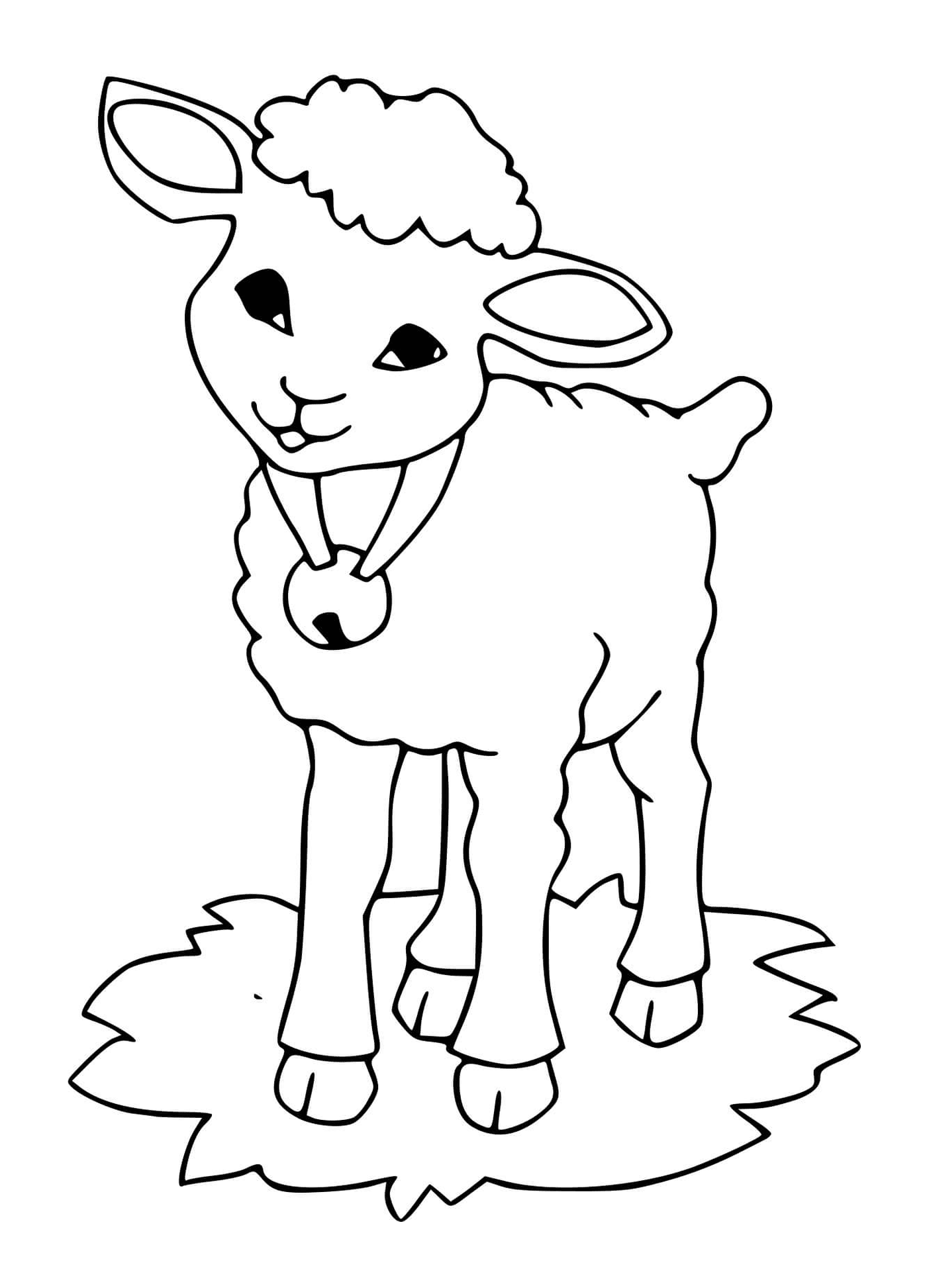  Lamb usa sino muito bem 
