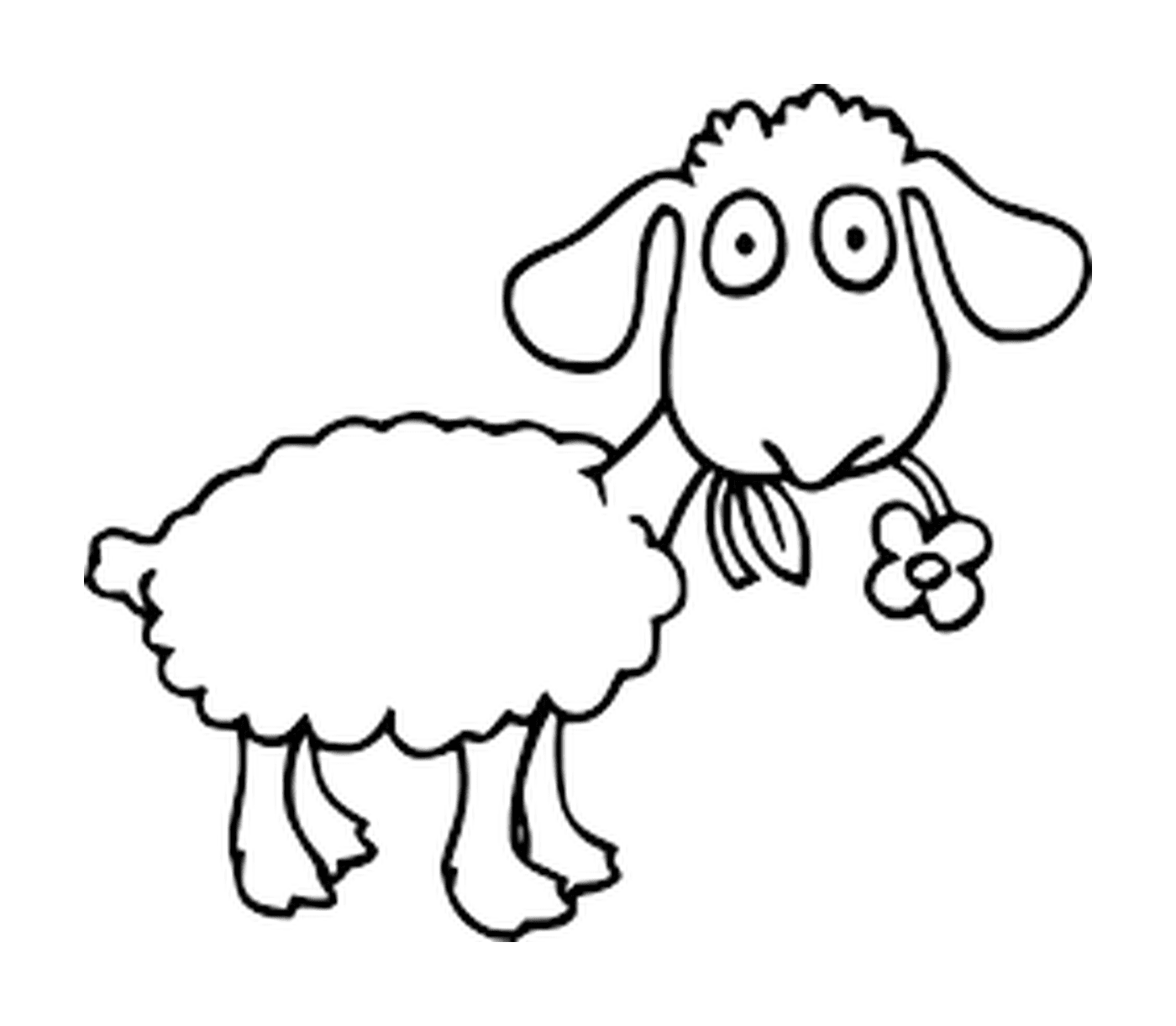  Mouton graciosamente provado flor 
