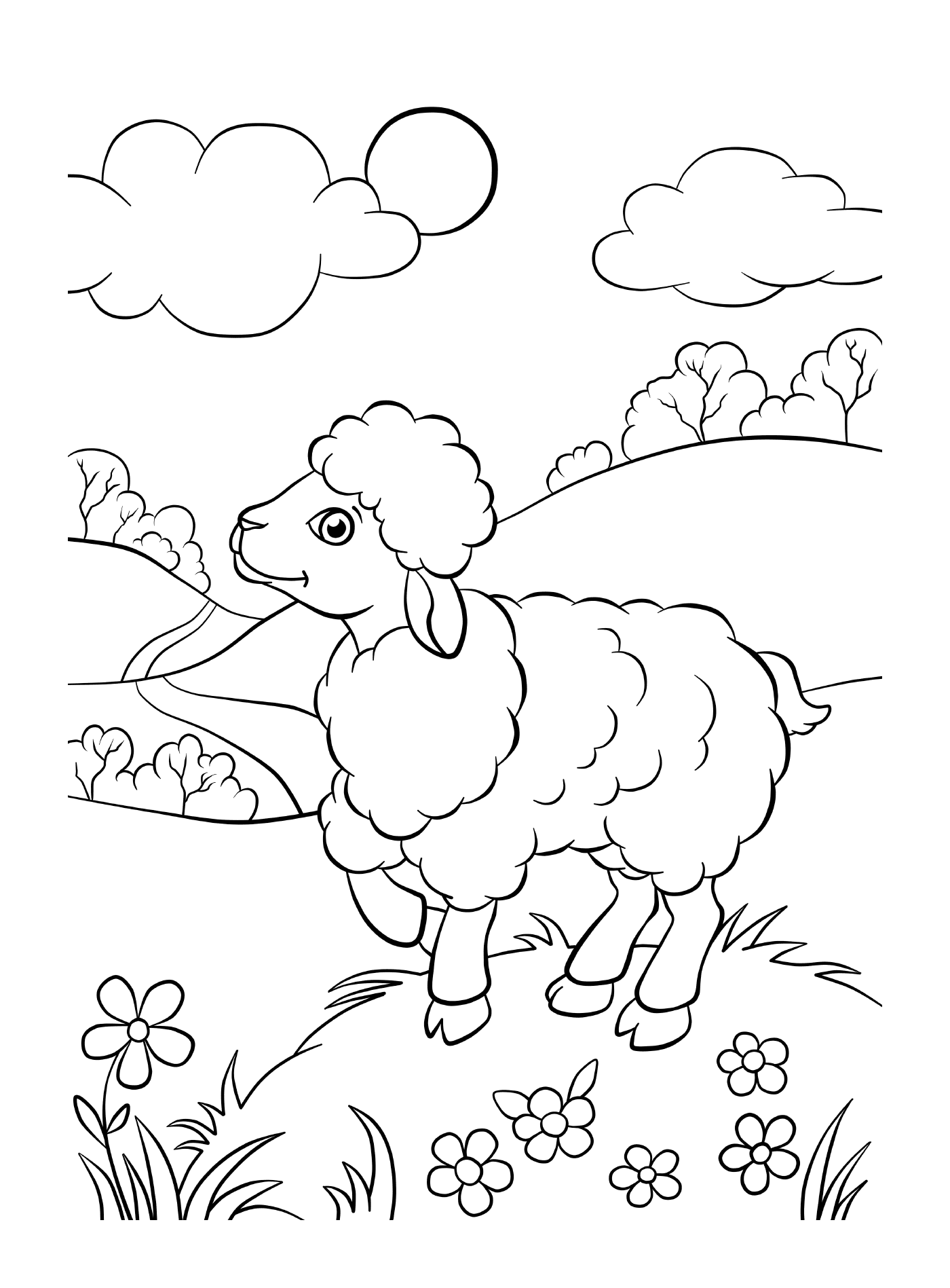 Ovelha em campos verdes 