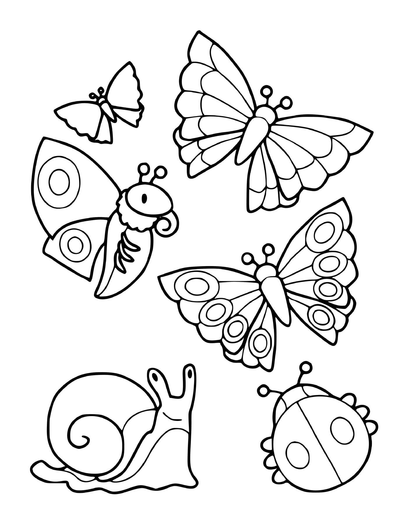  Uma coleção de insetos, incluindo borboletas e um caracol 